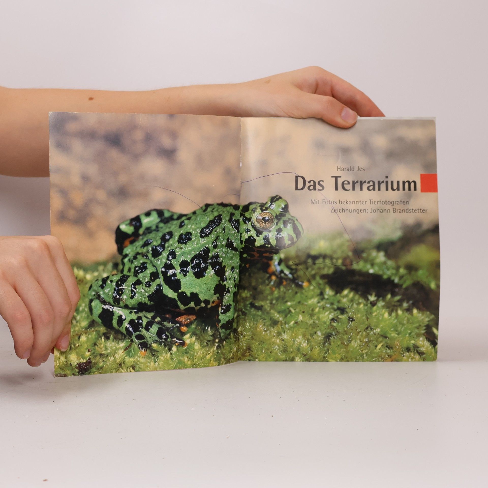 Herald Jes Das Terrarium