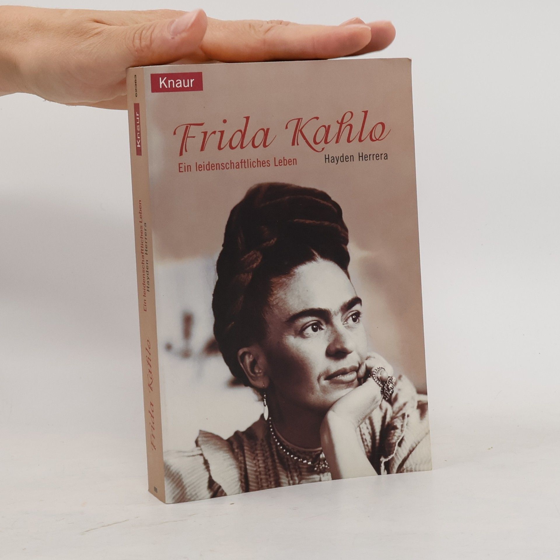 Hayden Herrera Frida Kahlo: Ein leidenschaftliches Leben