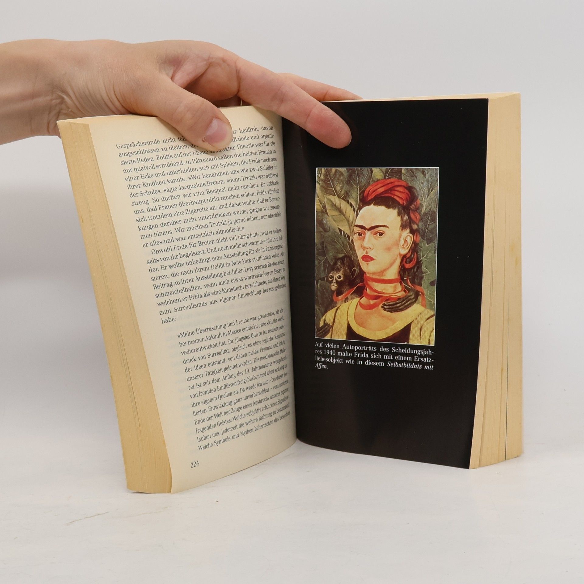 Hayden Herrera Frida Kahlo: Ein leidenschaftliches Leben
