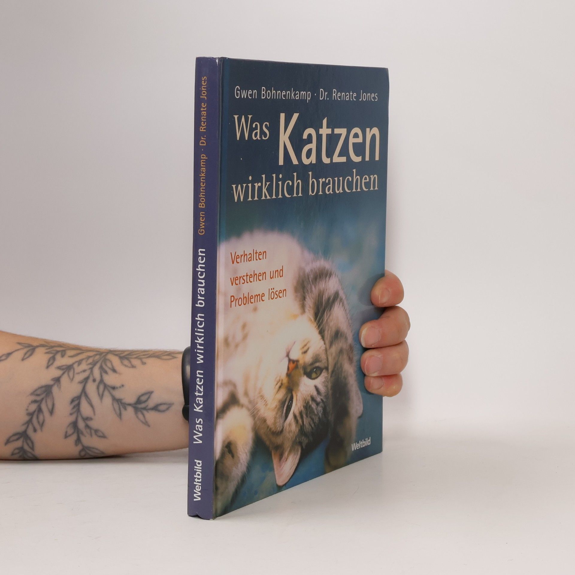 Gwen Bohnenkamp Was Katzen wirklich brauchen