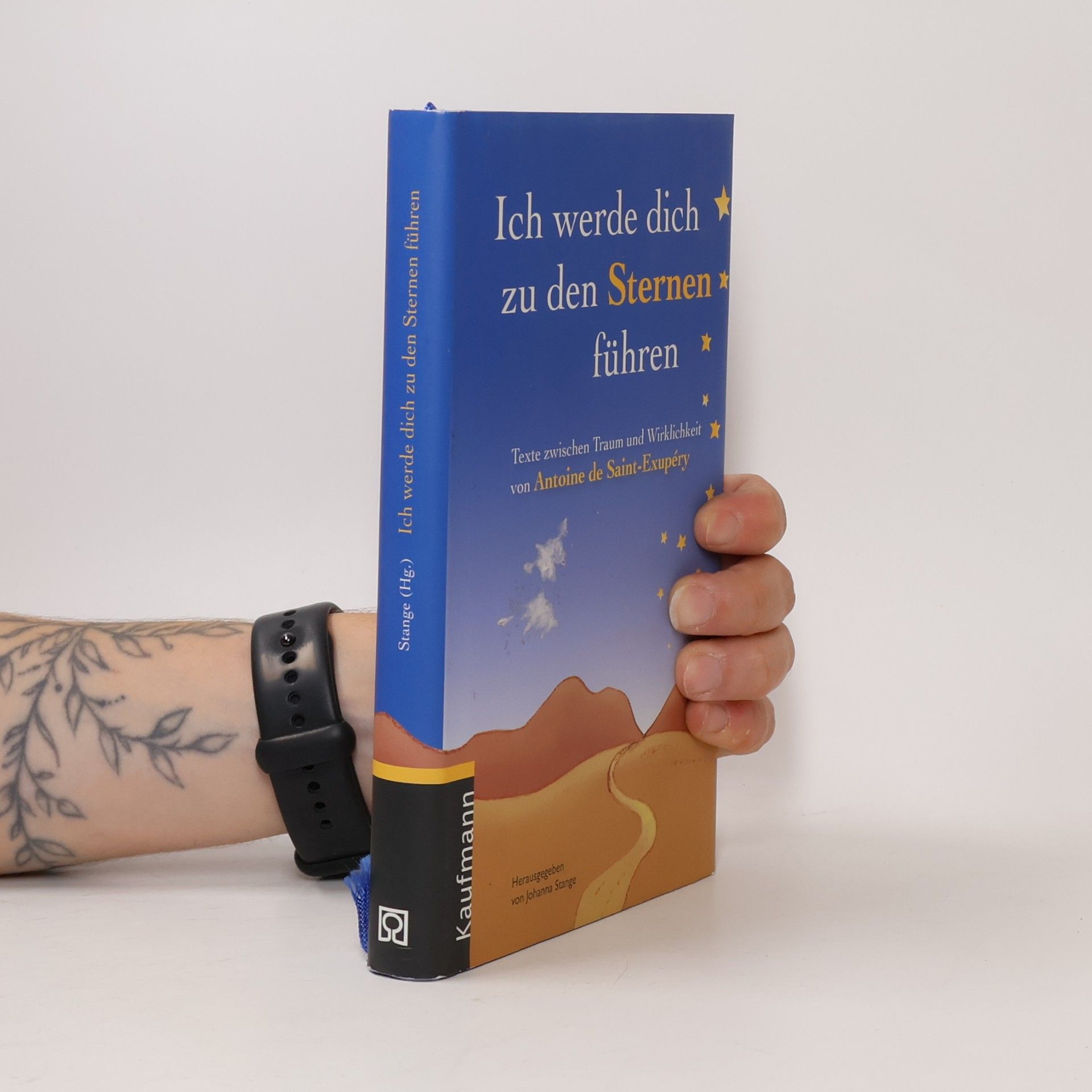 Antoine de Saint-Exupéry Ich werde dich zu den Sternen führen