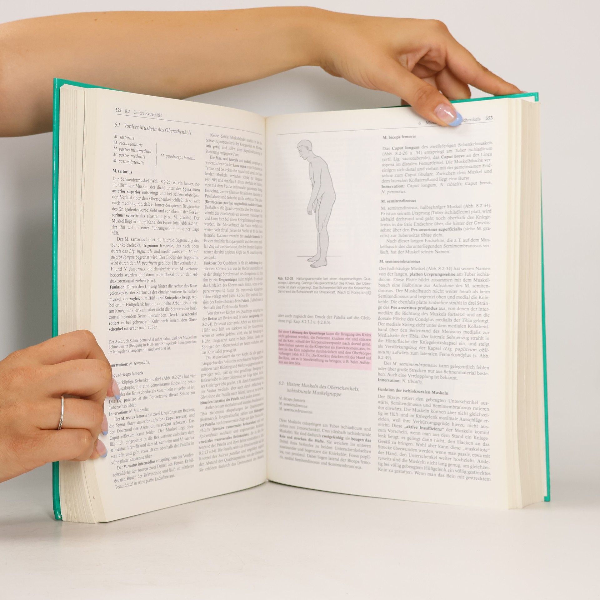 Dirk Berens von Rautenfeld Anatomie