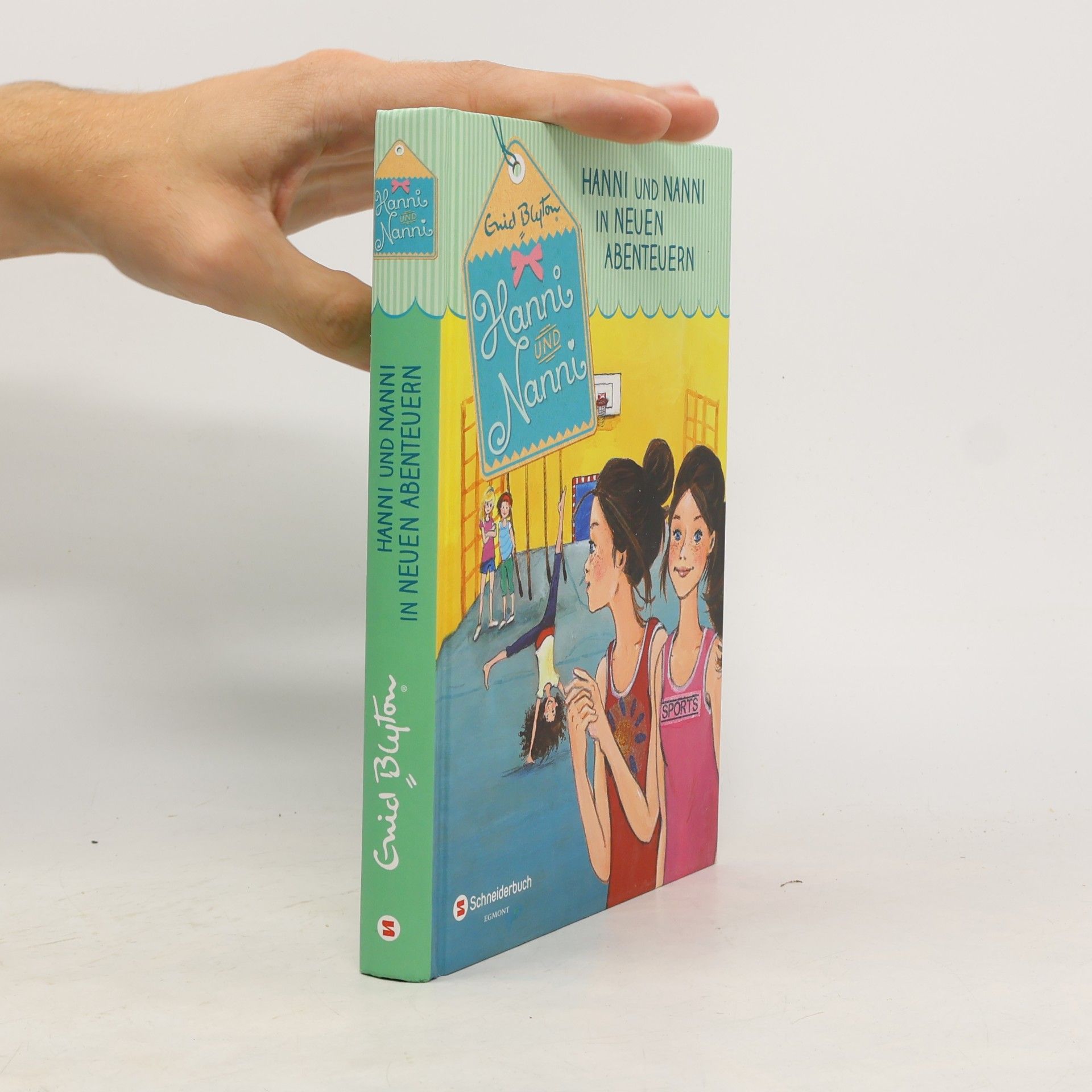 Enid Blyton Hanni und Nanni in neuen Abenteuern