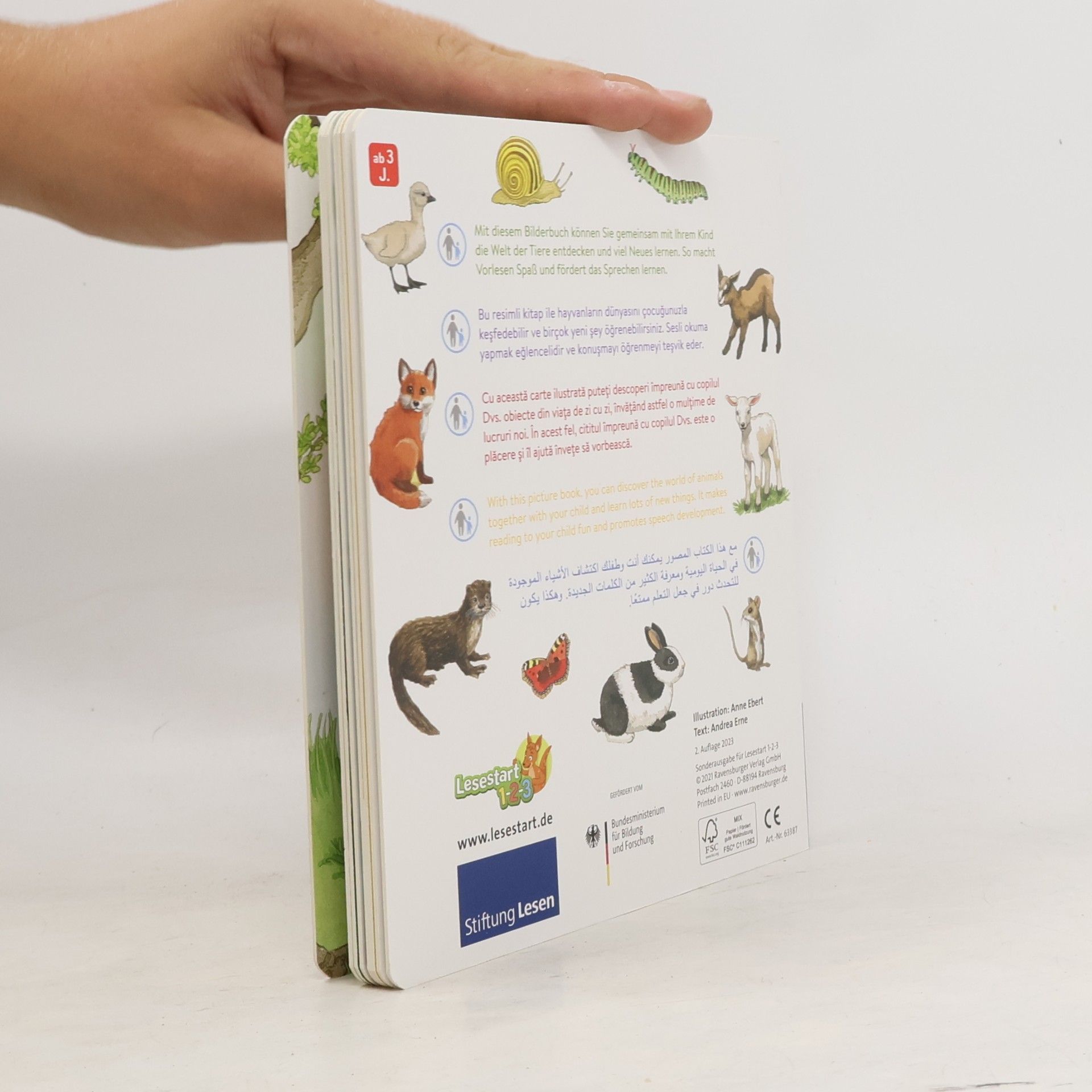Andrea Erne Unsere Tiere und ihre Kinder