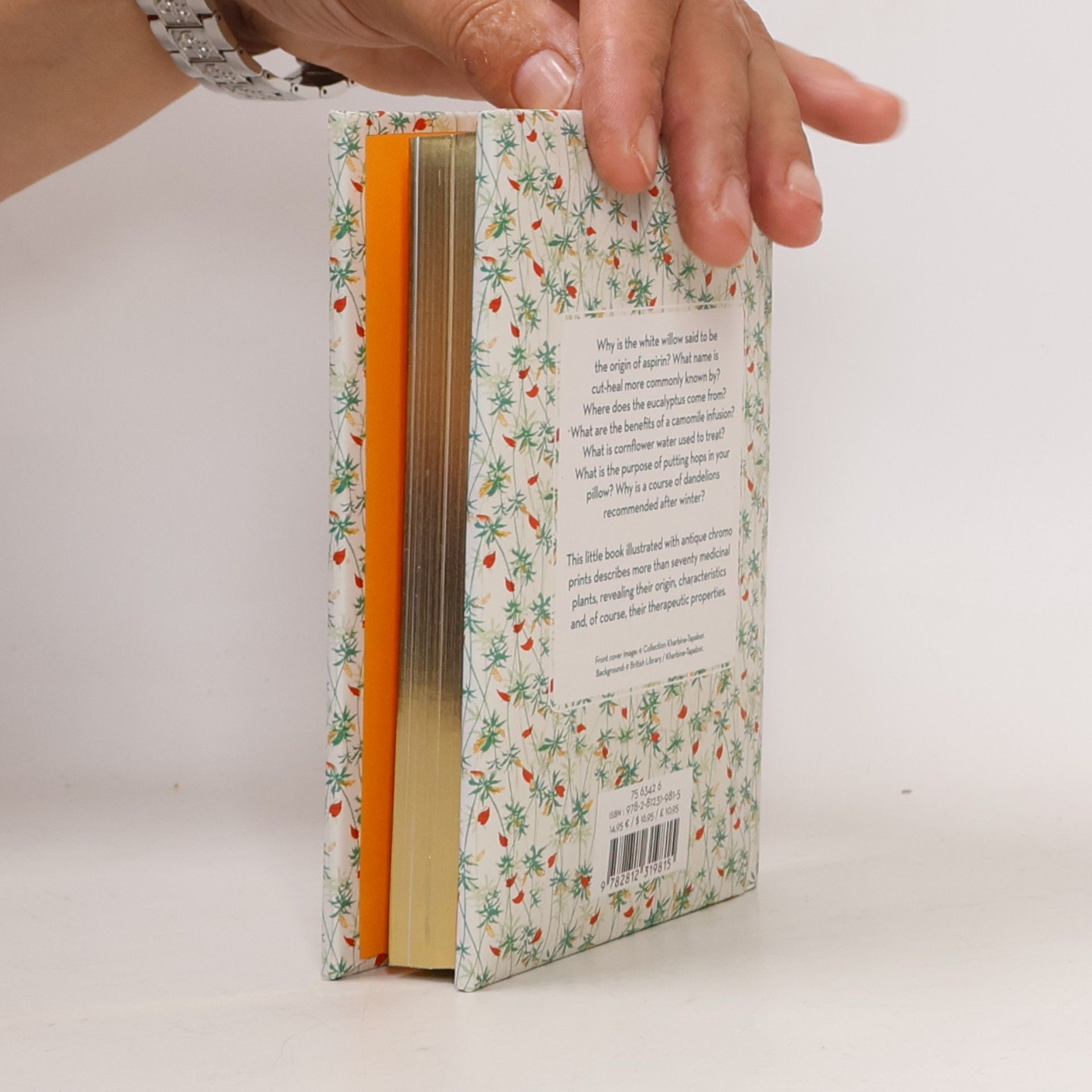 Elisabeth Trotignon The Little Book of Medicinal Plants