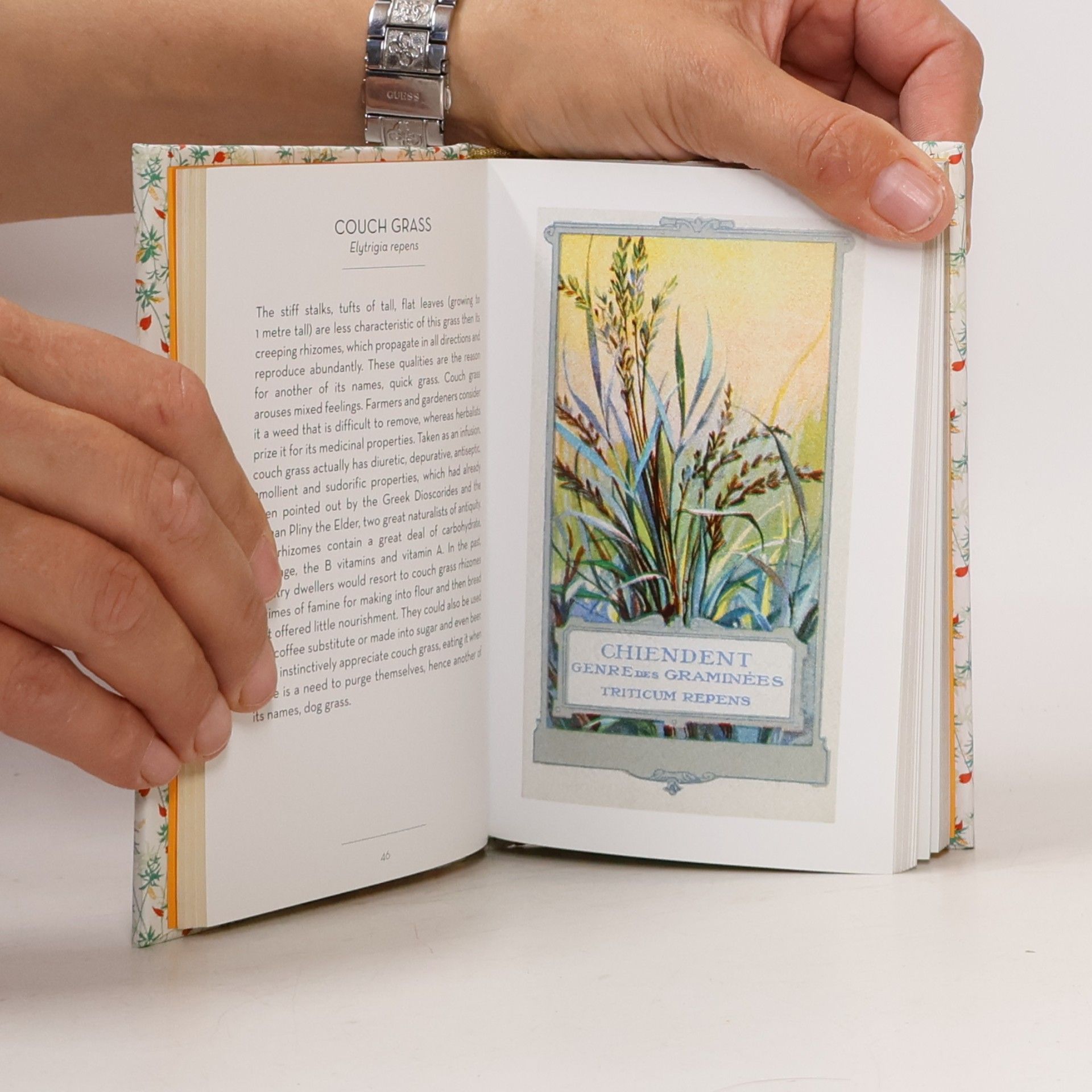 Elisabeth Trotignon The Little Book of Medicinal Plants