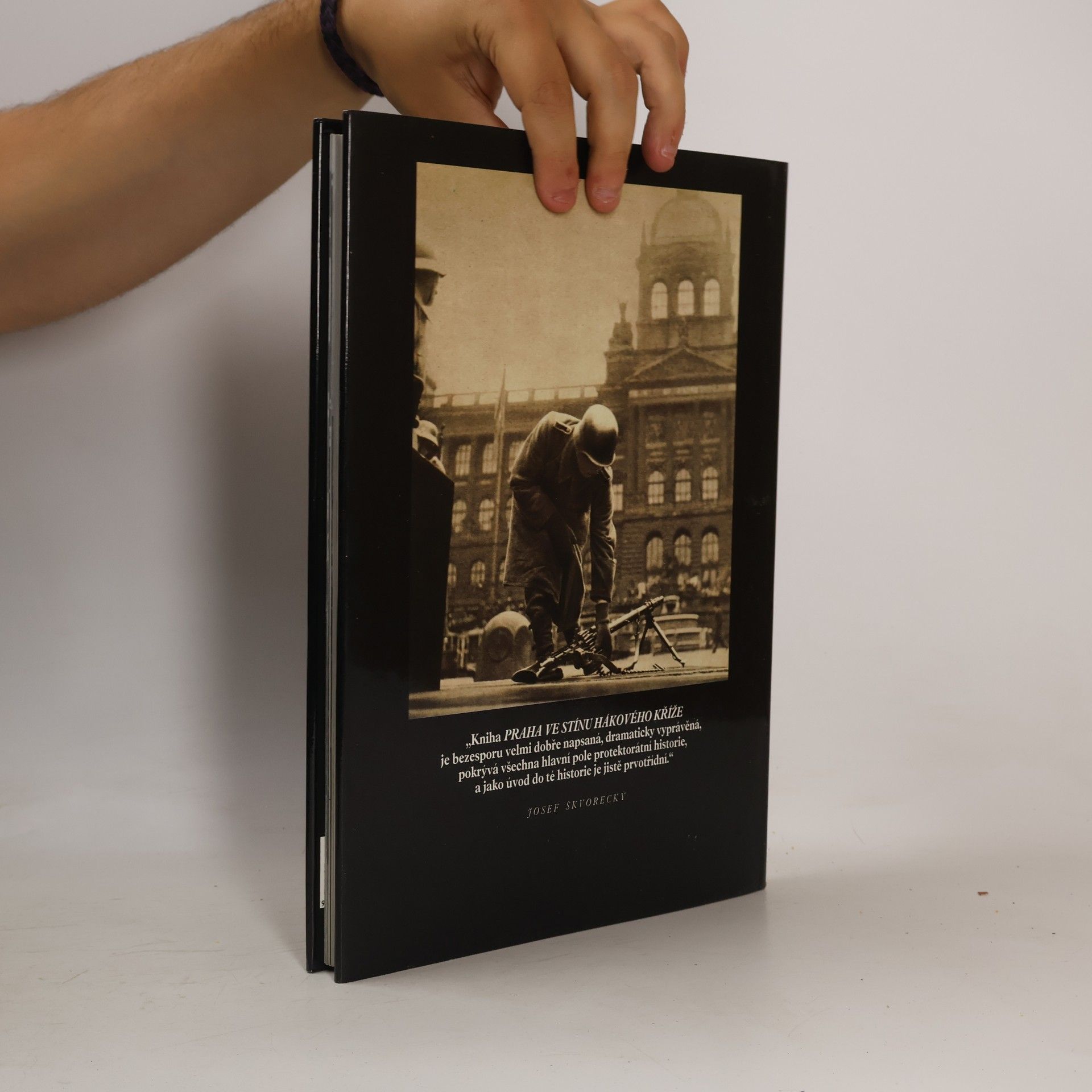 C. A. MacDonald Praha ve stínu hákového kříže