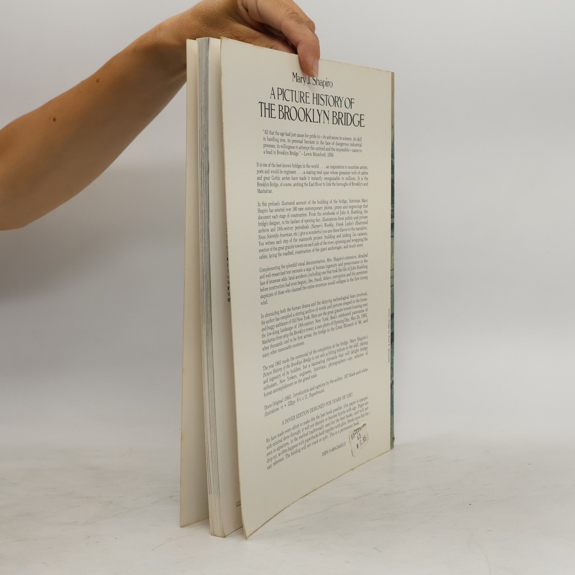 Mary J. Shapiro A Picture History of the Brooklyn Bridge