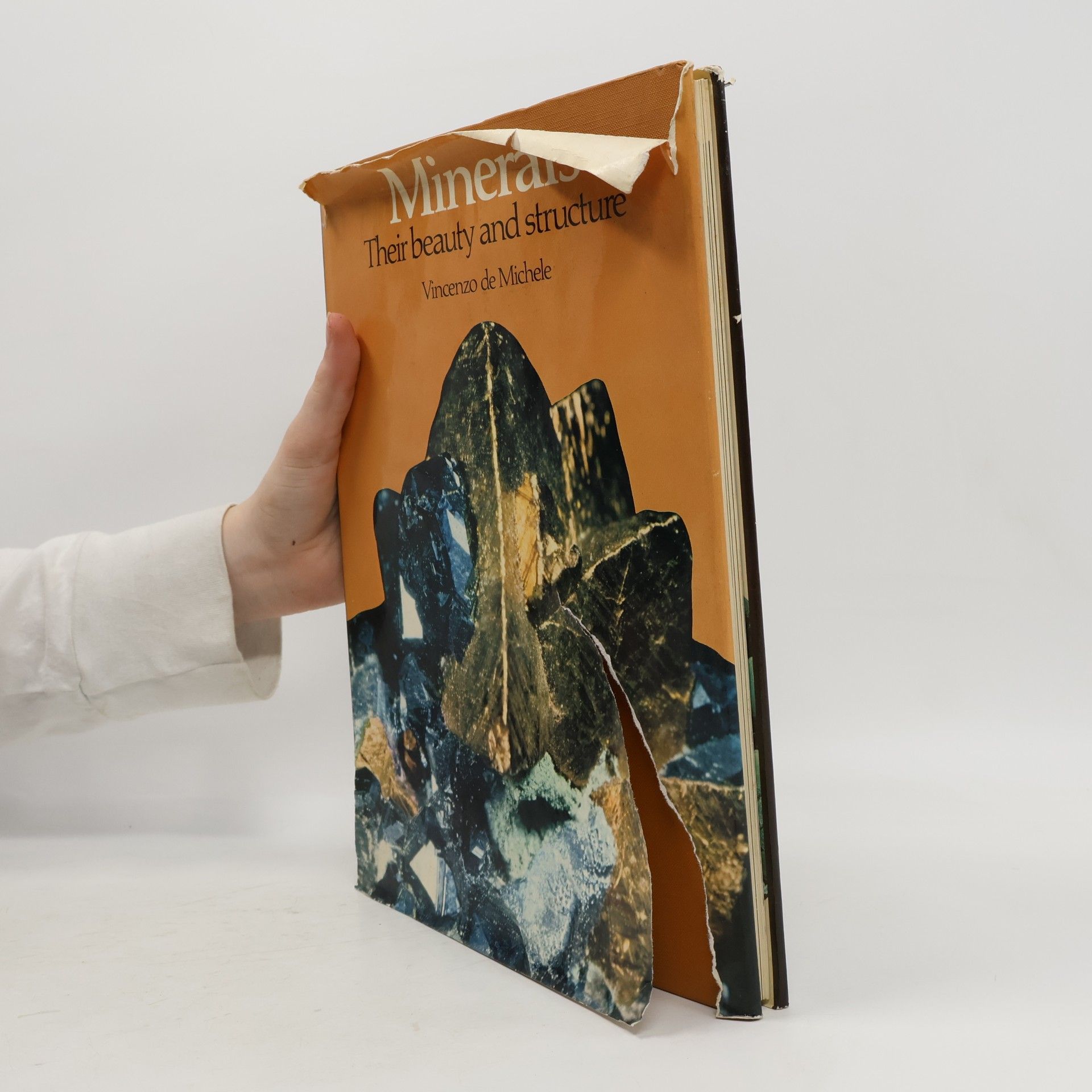 Vincenzo De Michele The World of Minerals