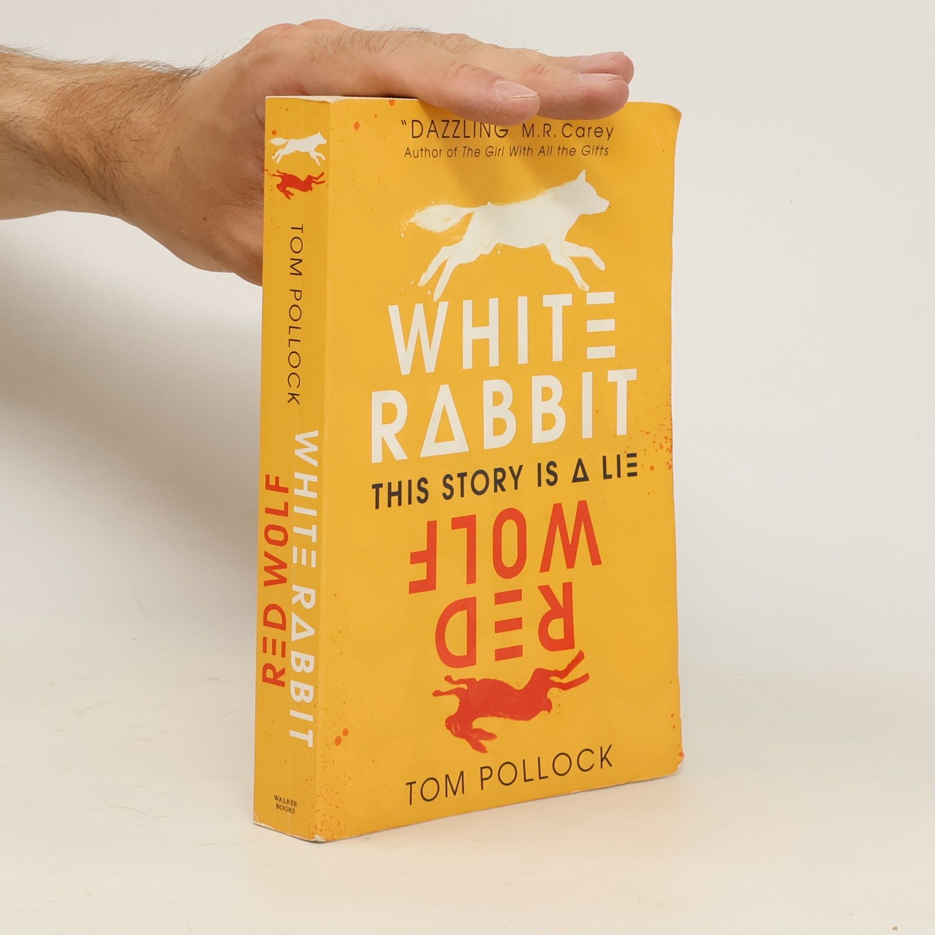 Tom H. Pollock White Rabbit, Red Wolf