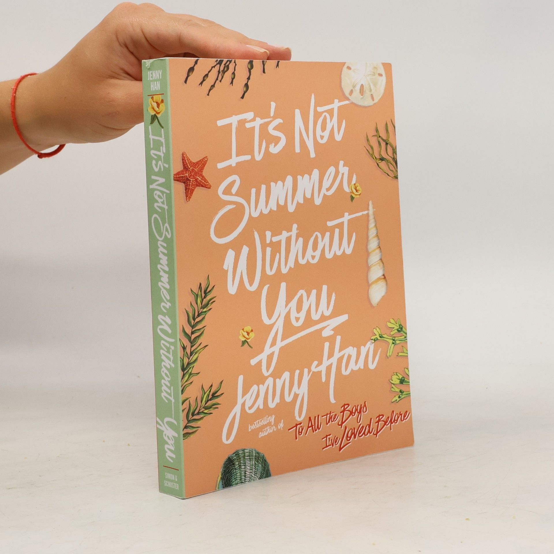 Jenny Han It's Not Summer Without You