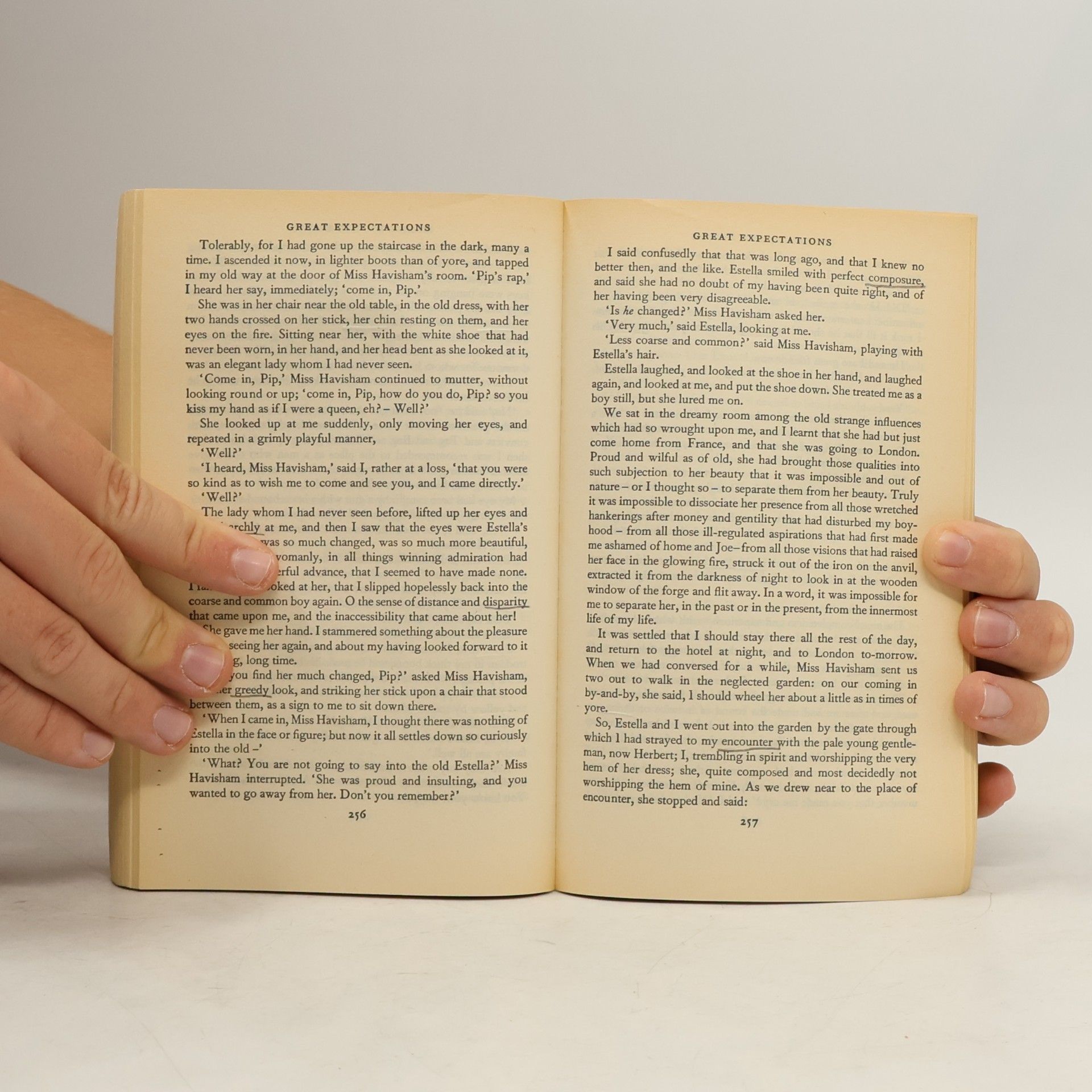 Charles Dickens Great expectations