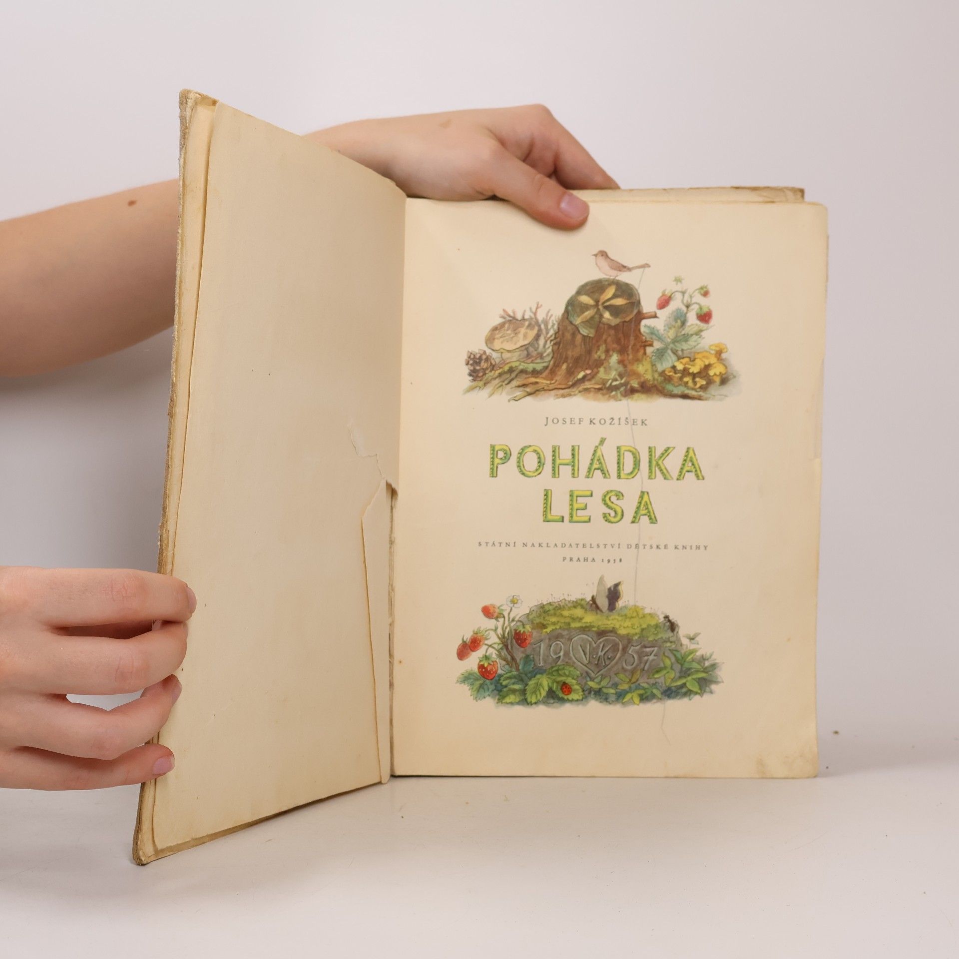 Josef Kožíšek Pohádka lesa