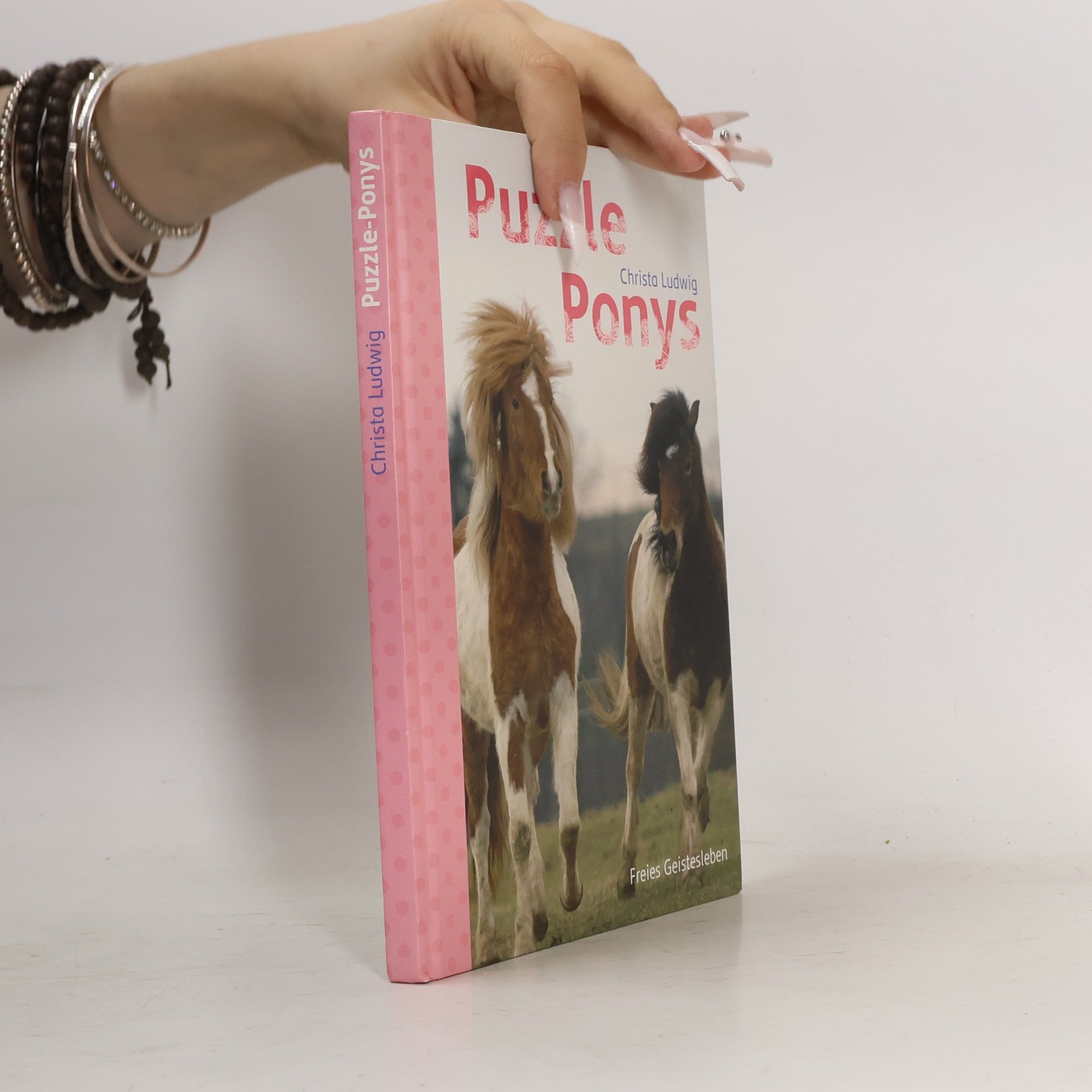 Christa Ludwig Puzzle-Ponys