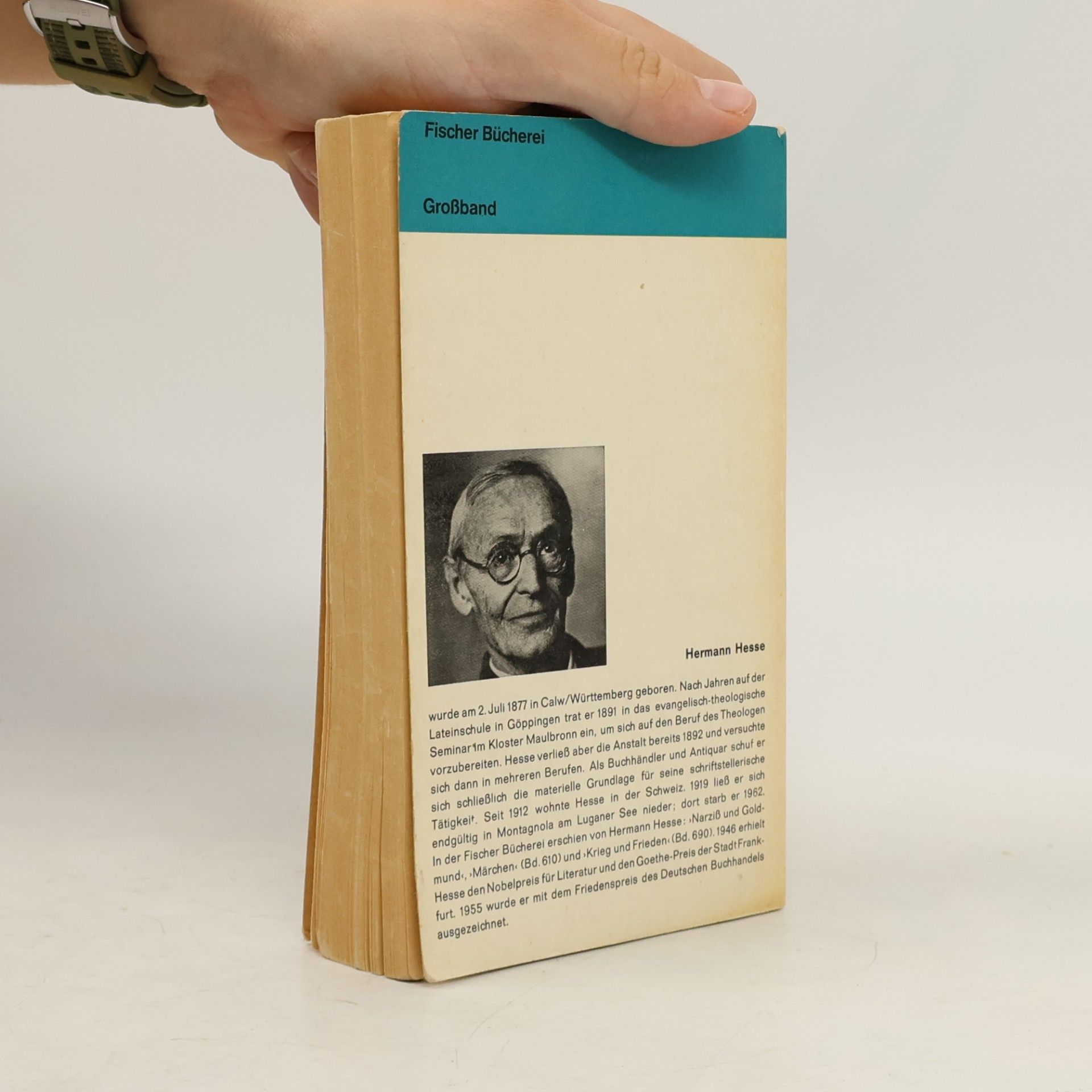 Hermann Hesse Narziss und Goldmund