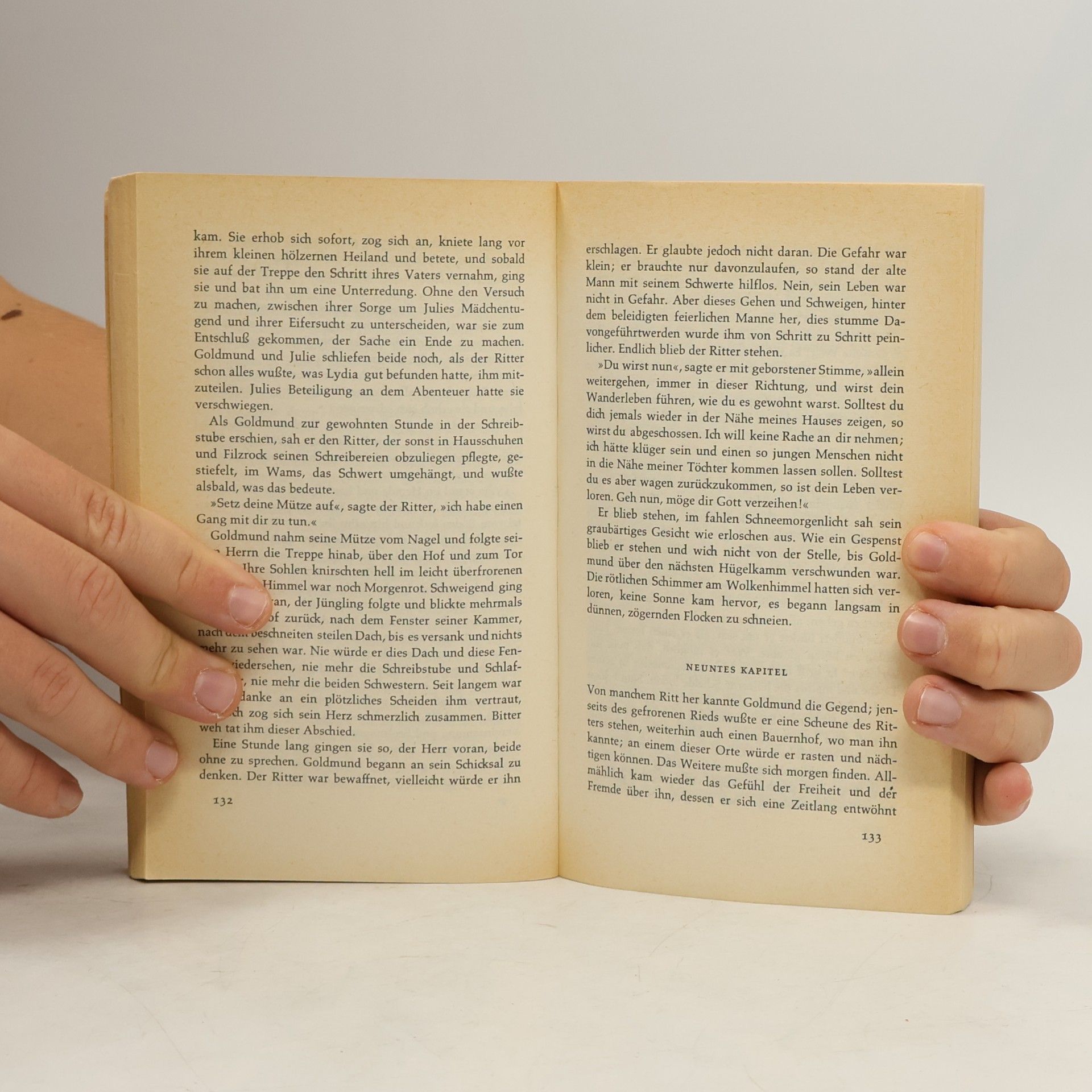 Hermann Hesse Narziss und Goldmund