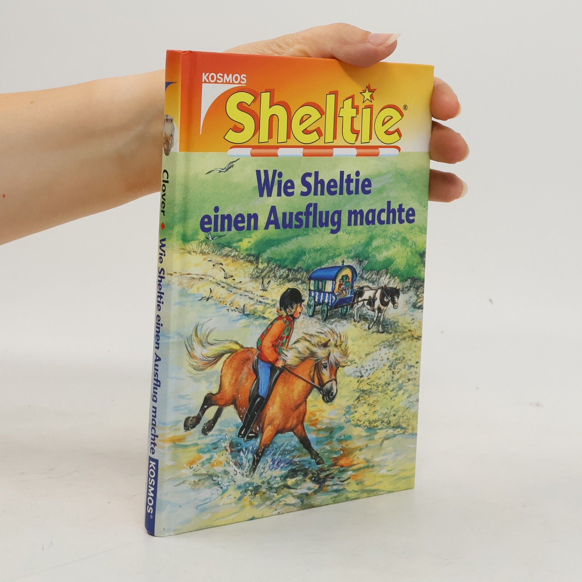 Wie Sheltie einen Ausflug machte