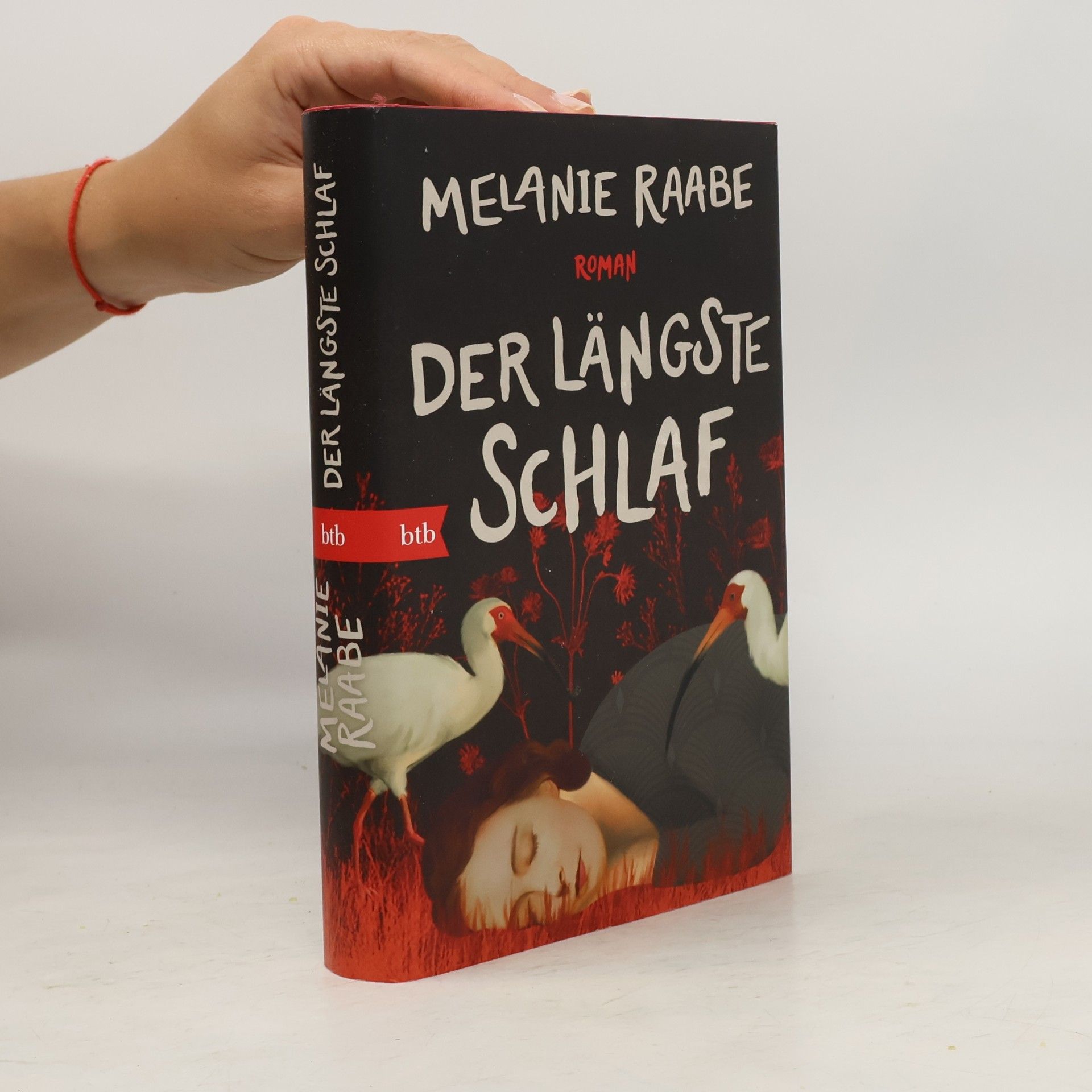 Melanie Raabe Der längste Schlaf. Roman