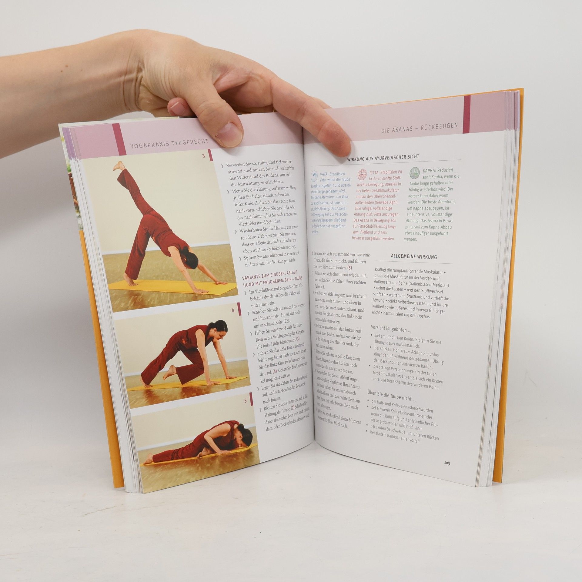 Anna Trökes Mit Yoga und Ayurveda ganzheitlich heilen