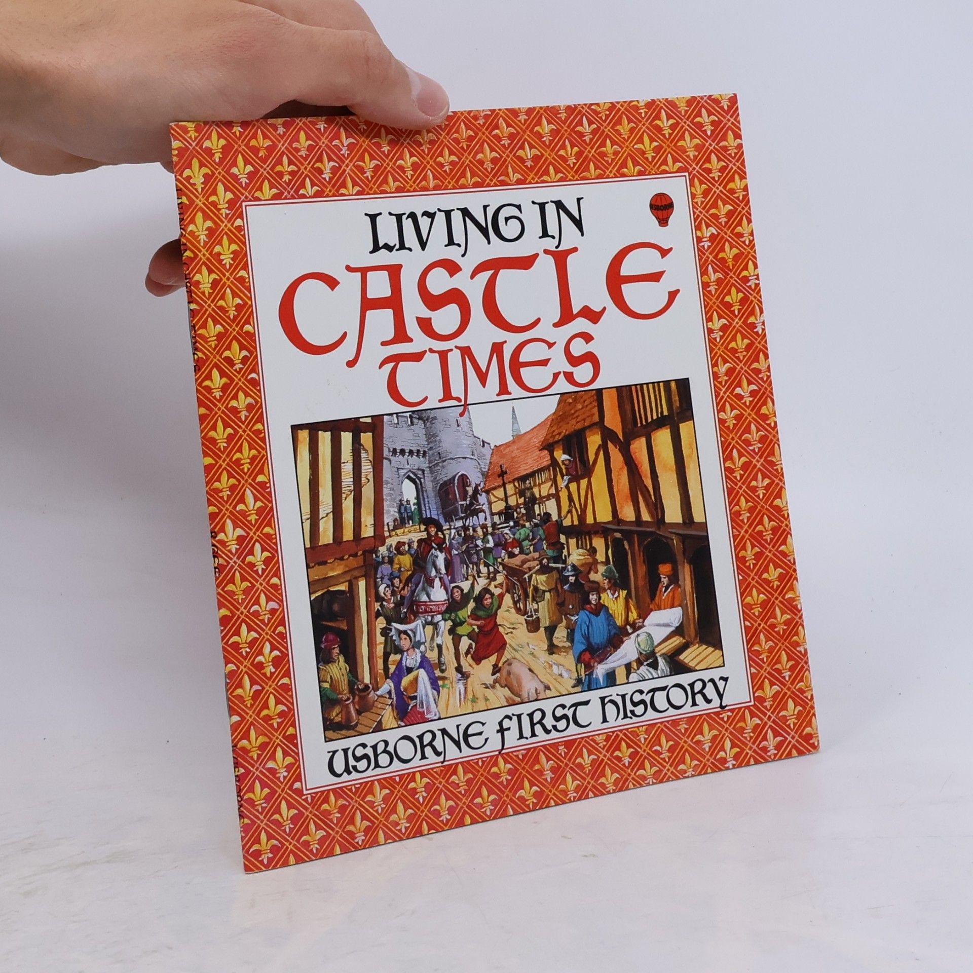 Robyn Gee Living in Castle Times