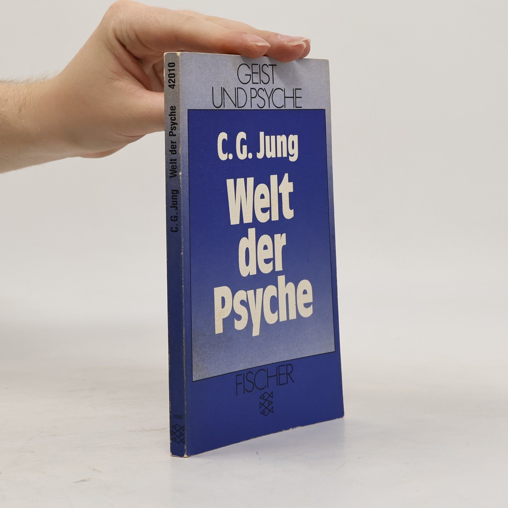 Carl Jung Welt der Psyche
