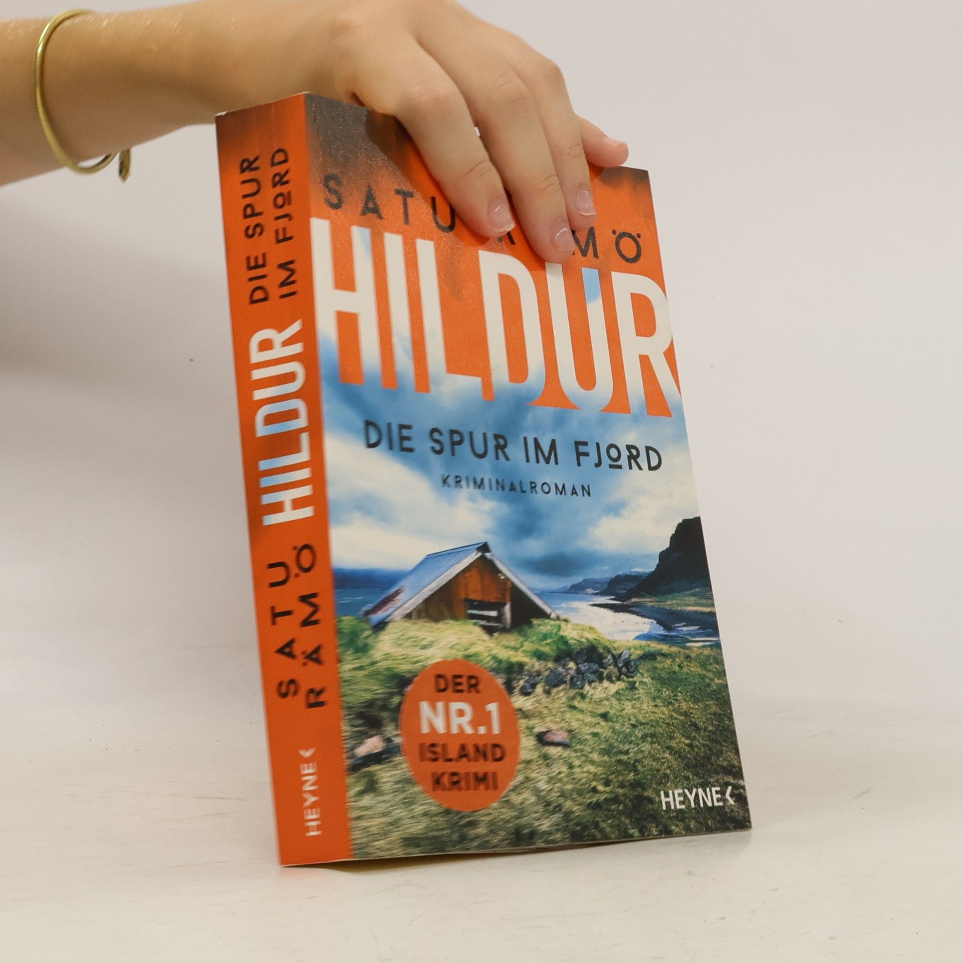Satu Rämö Hildur. Die Spur im Fjord