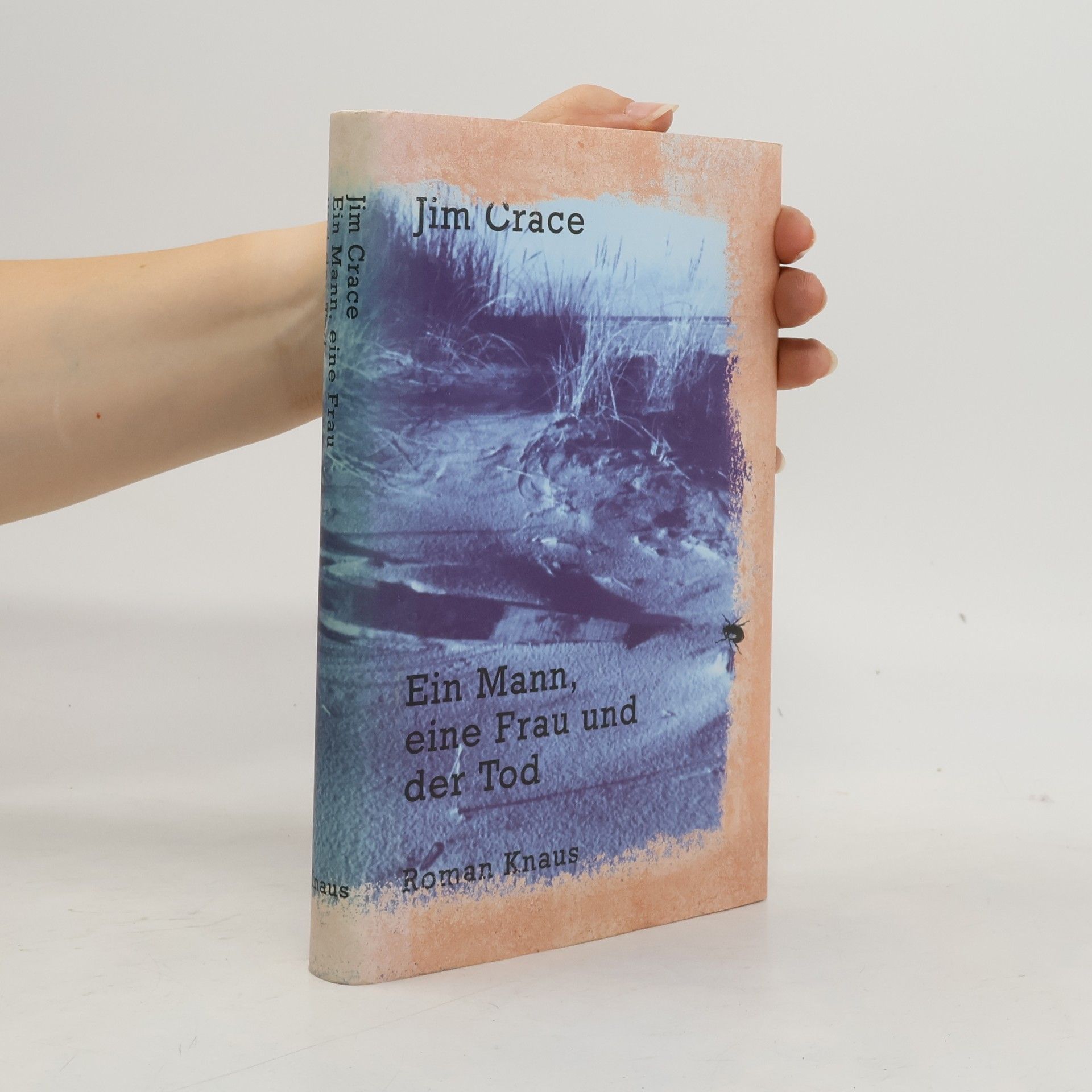 Jim Crace Ein Mann, eine Frau und der Tod