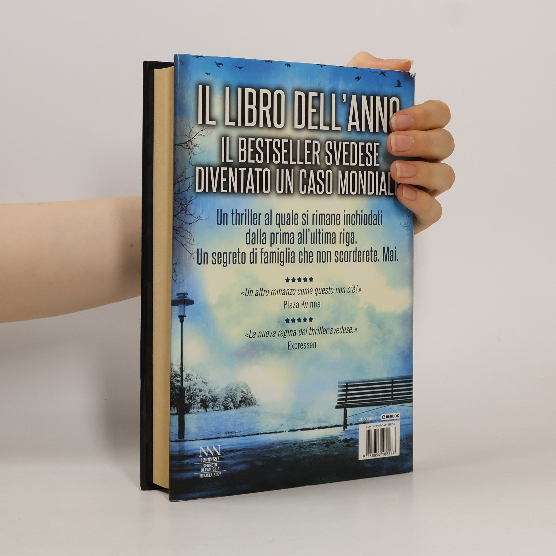 Lisa Raspanti Nuova narrativa Newton: Segreto di famiglia