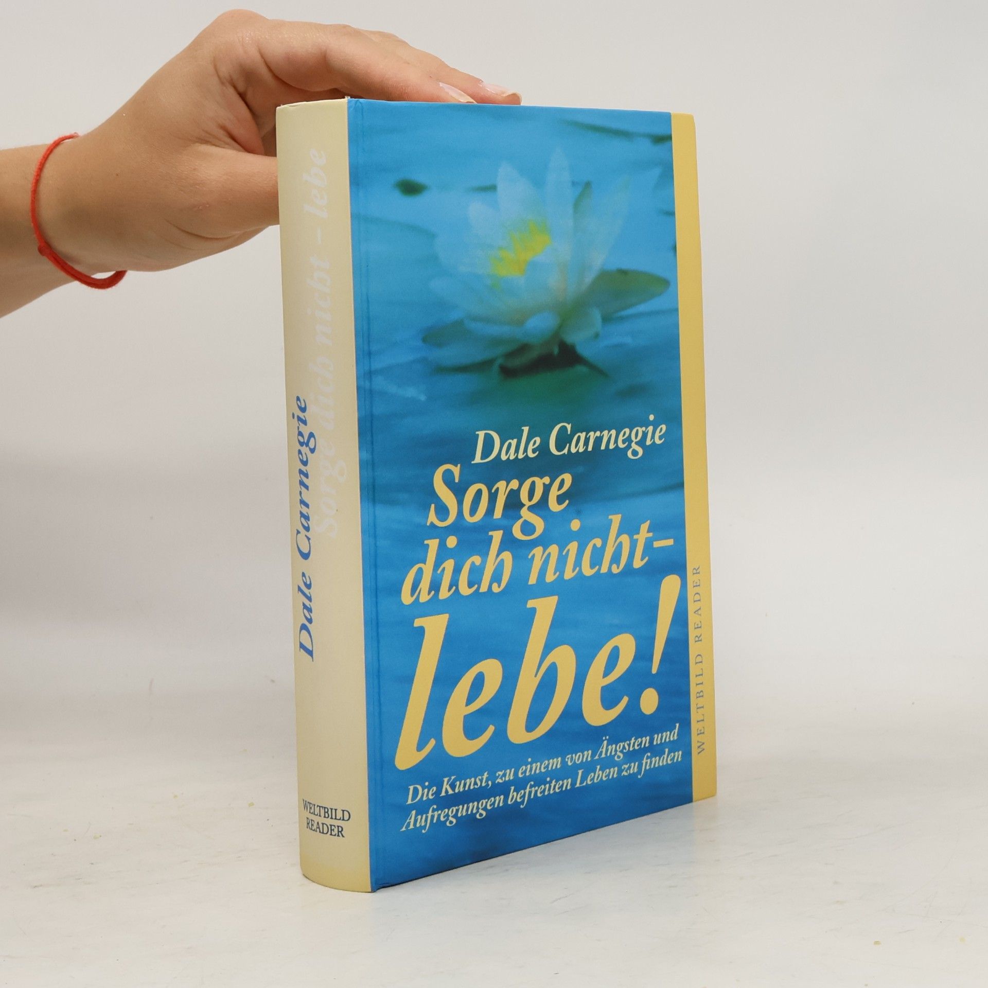 Dale Carnegie Sorge dich nicht - lebe!