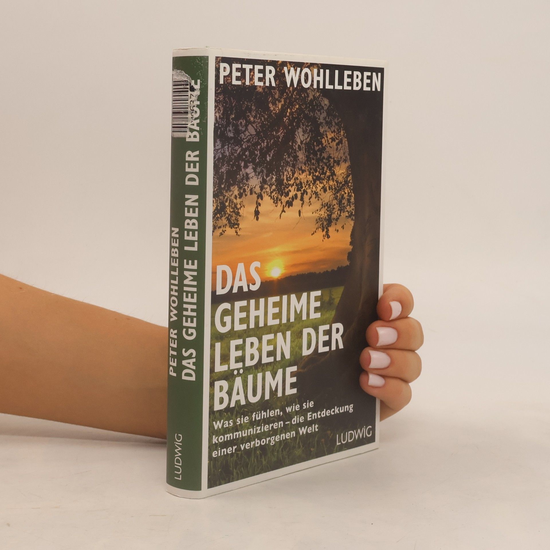 Peter Wohlleben Das geheime Leben der Bäume