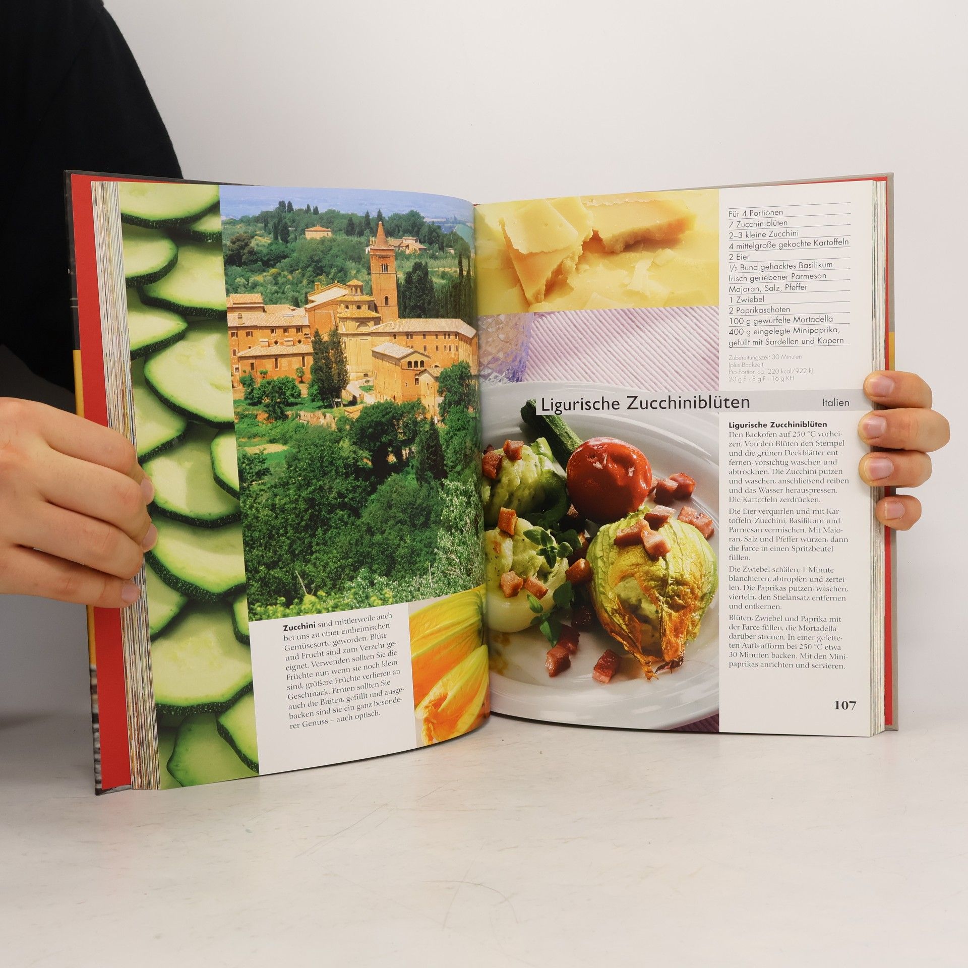 Gertrud Berning Vorspeisen - das Kochbuch