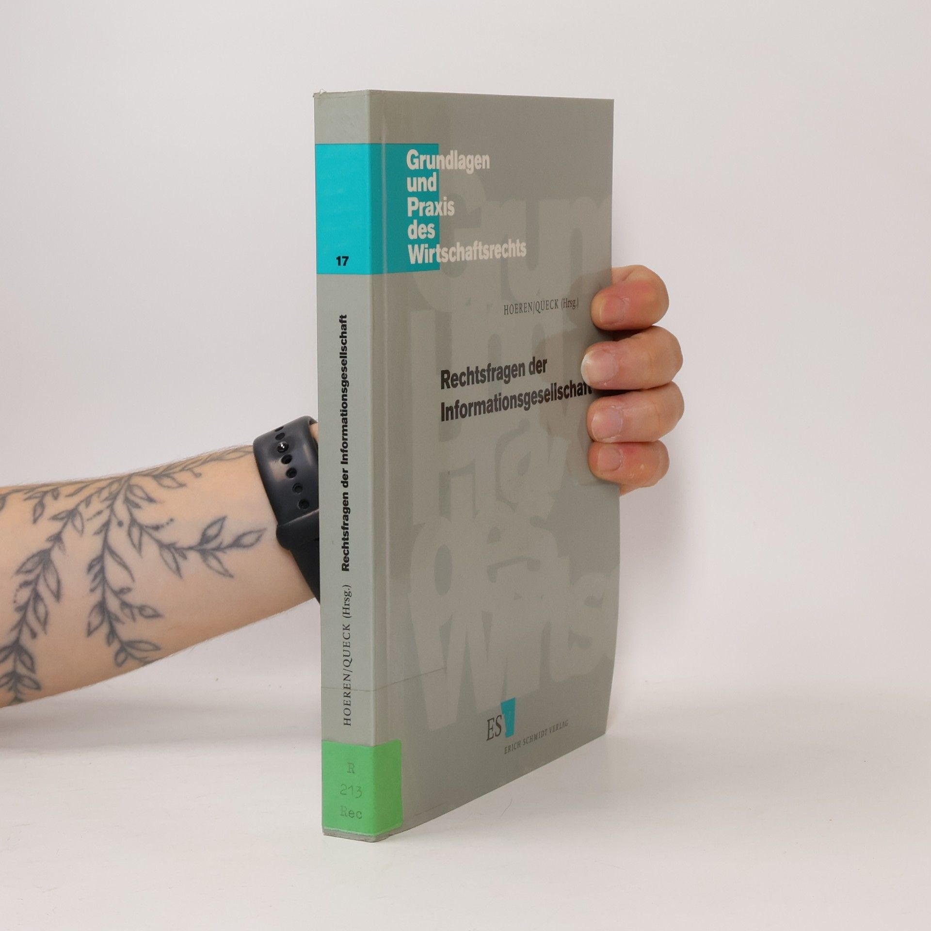 Robert Queck Grundlagen und Praxis des Wirtschaftsrechts - 17: Rechtsfragen der Informationsgesellschaft
