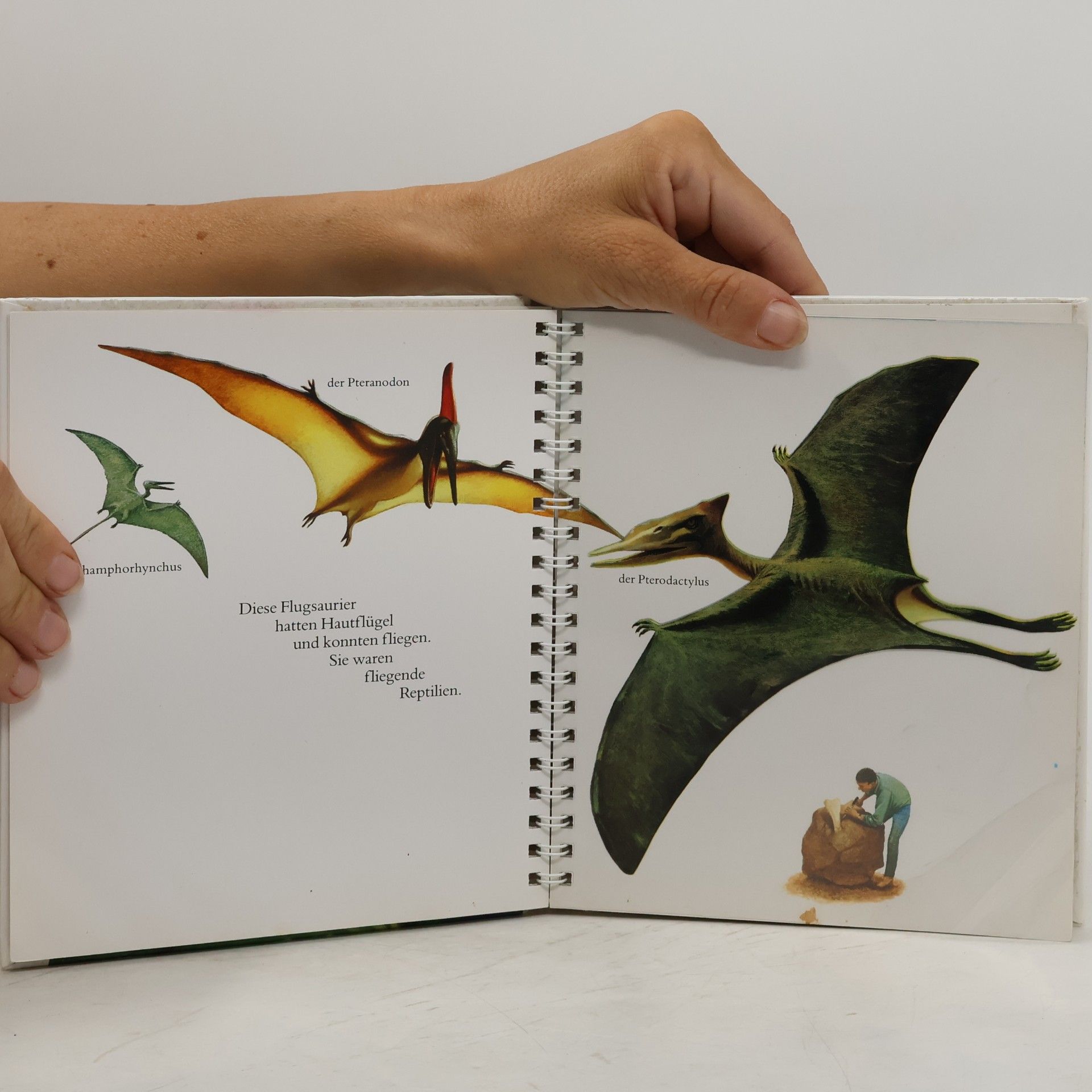 Jame's Prunier Der Dinosaurier