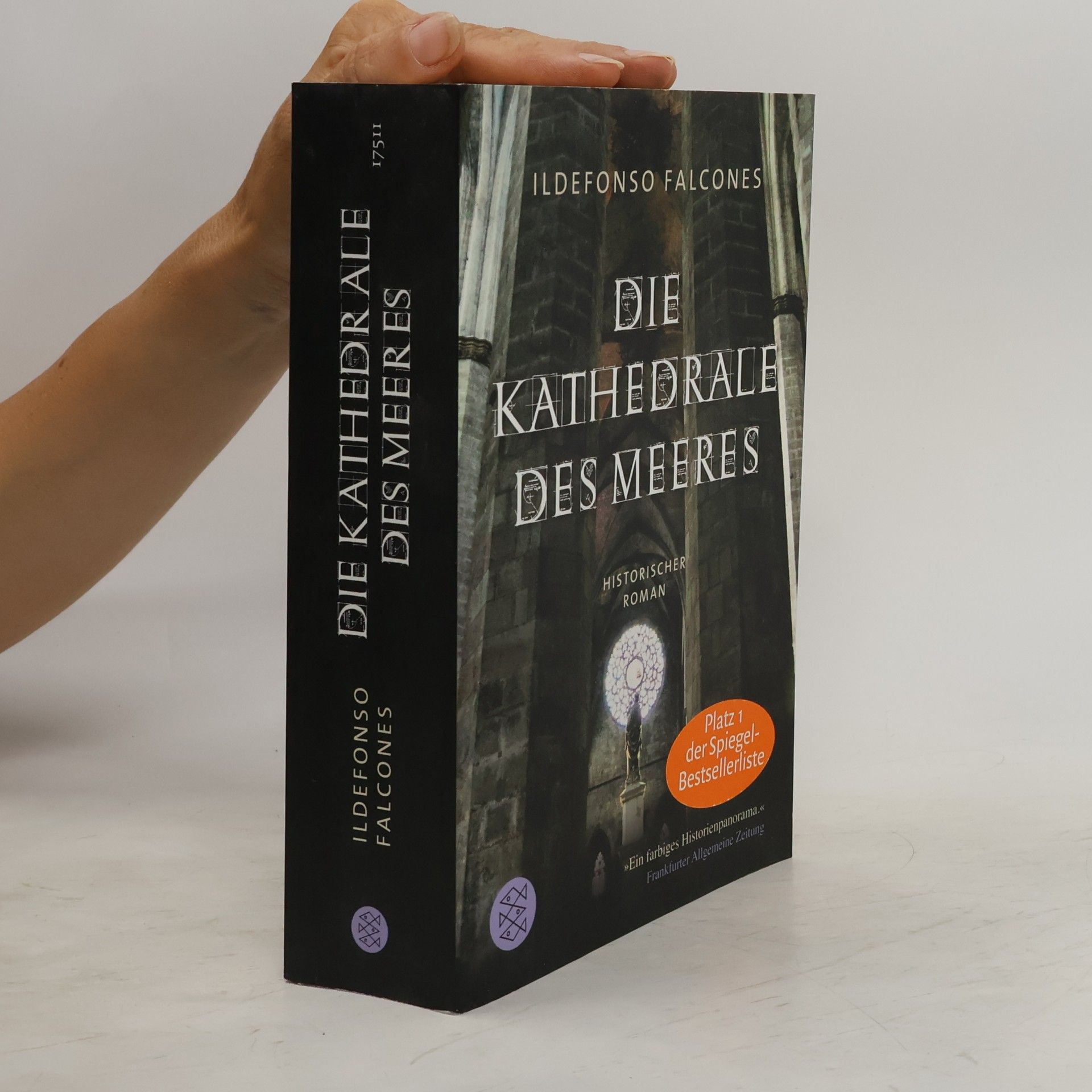 Ildefonso Falcones Die Kathedrale des Meeres