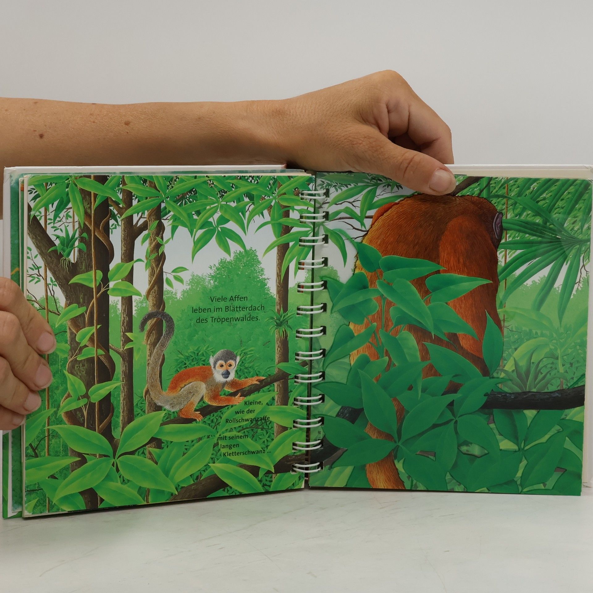 Rene Mettler Meyers kleine Kinderbibliothek - 19: Der Dschungel