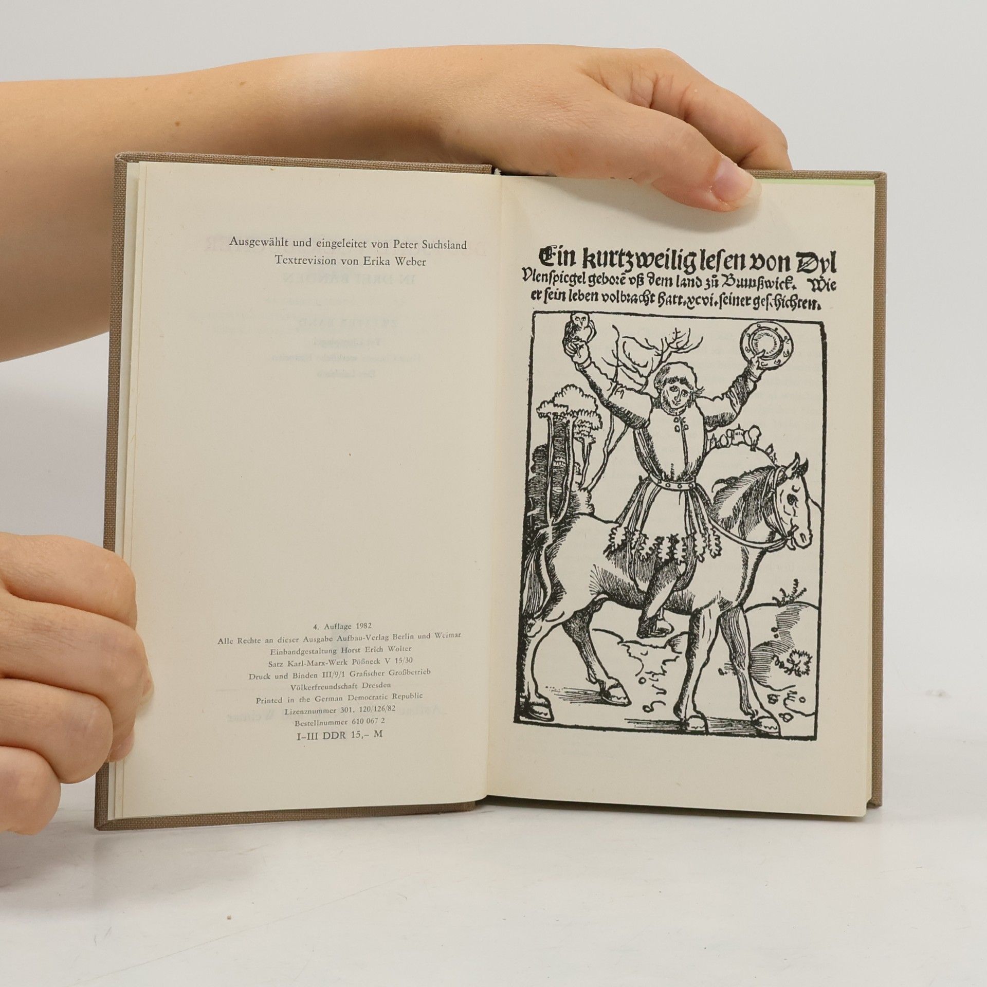 kolektiv Ein kurzweilig Lesen von Dyl Ulenspiegel