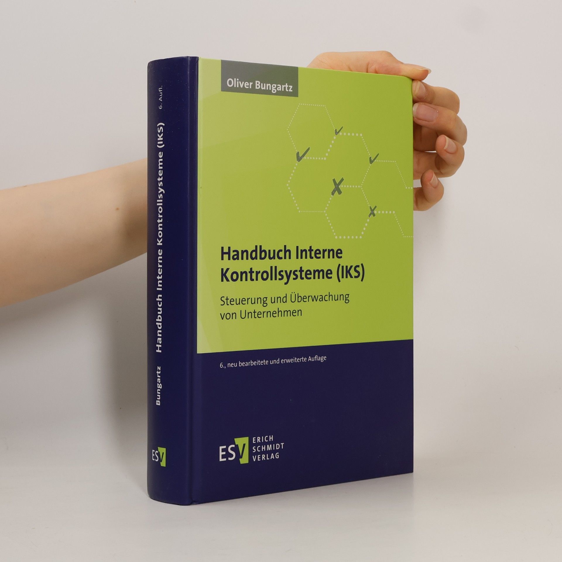 Oliver Bungartz Handbuch Interne Kontrollsysteme (IKS)