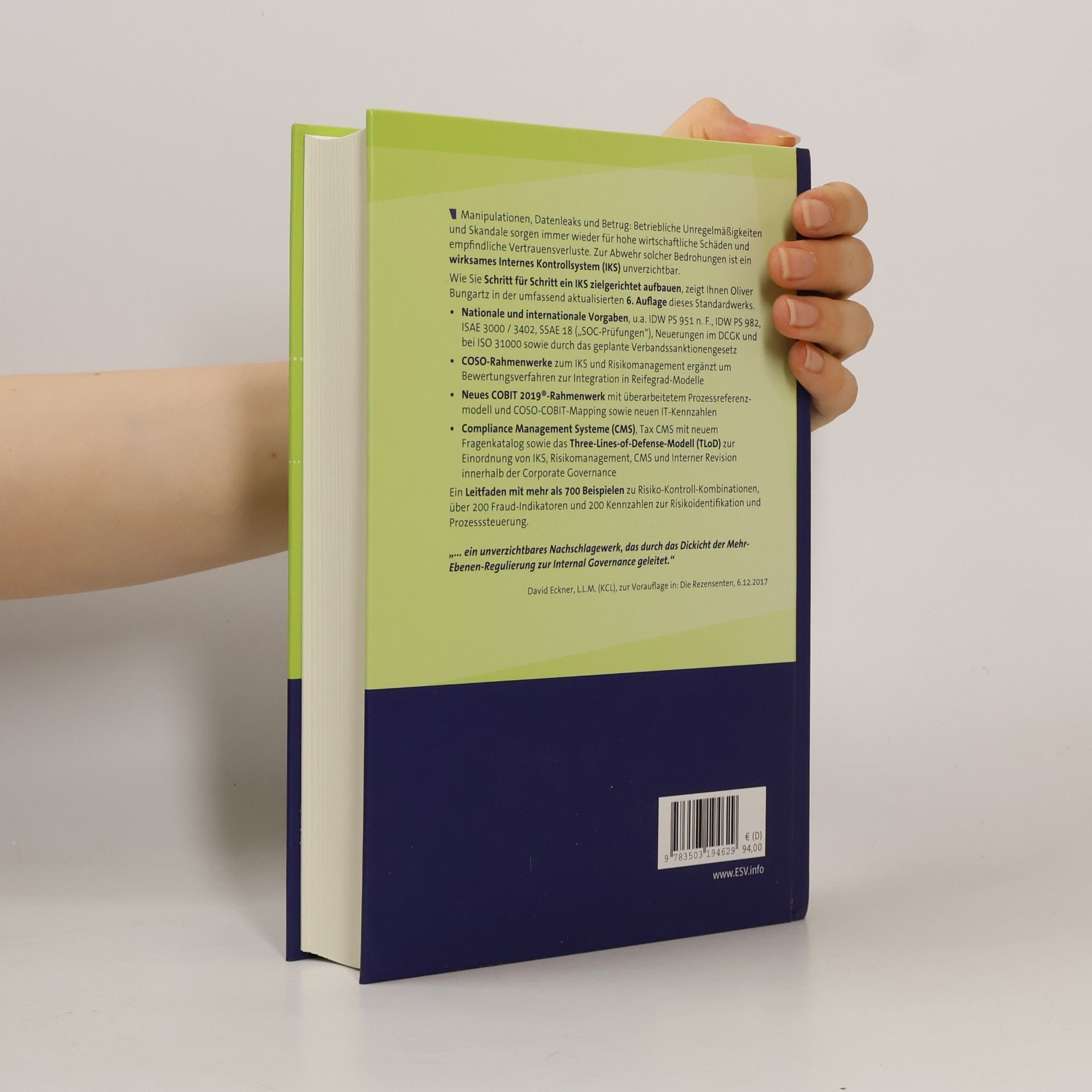 Oliver Bungartz Handbuch Interne Kontrollsysteme (IKS)