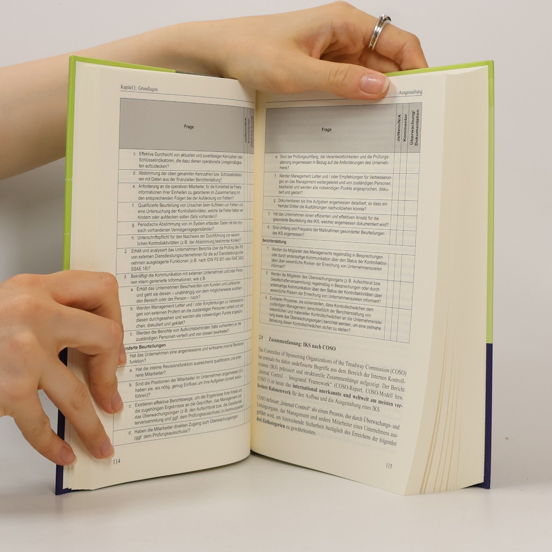 Oliver Bungartz Handbuch Interne Kontrollsysteme (IKS)