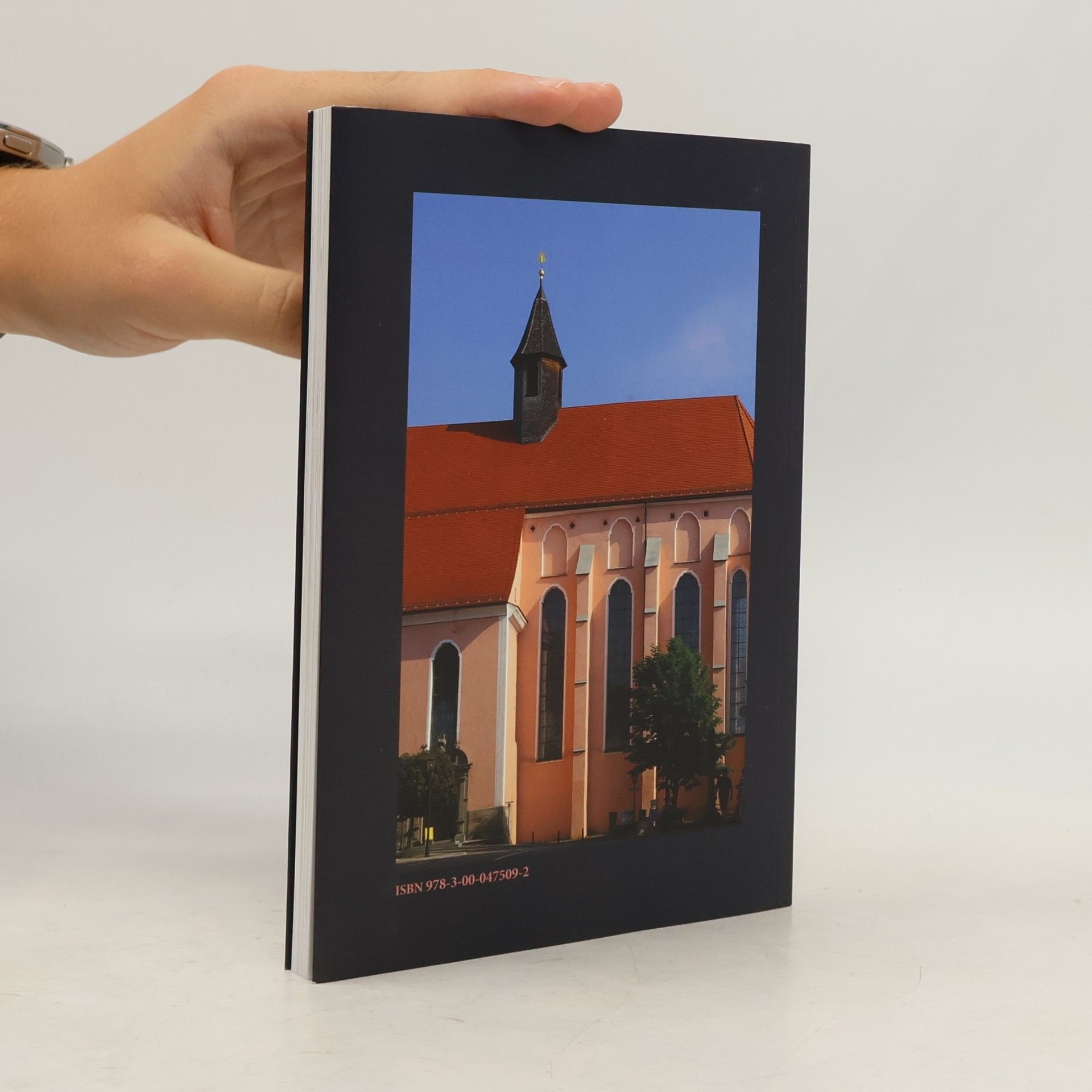Marcus Keinath Die Rottweiler Predigerkirche