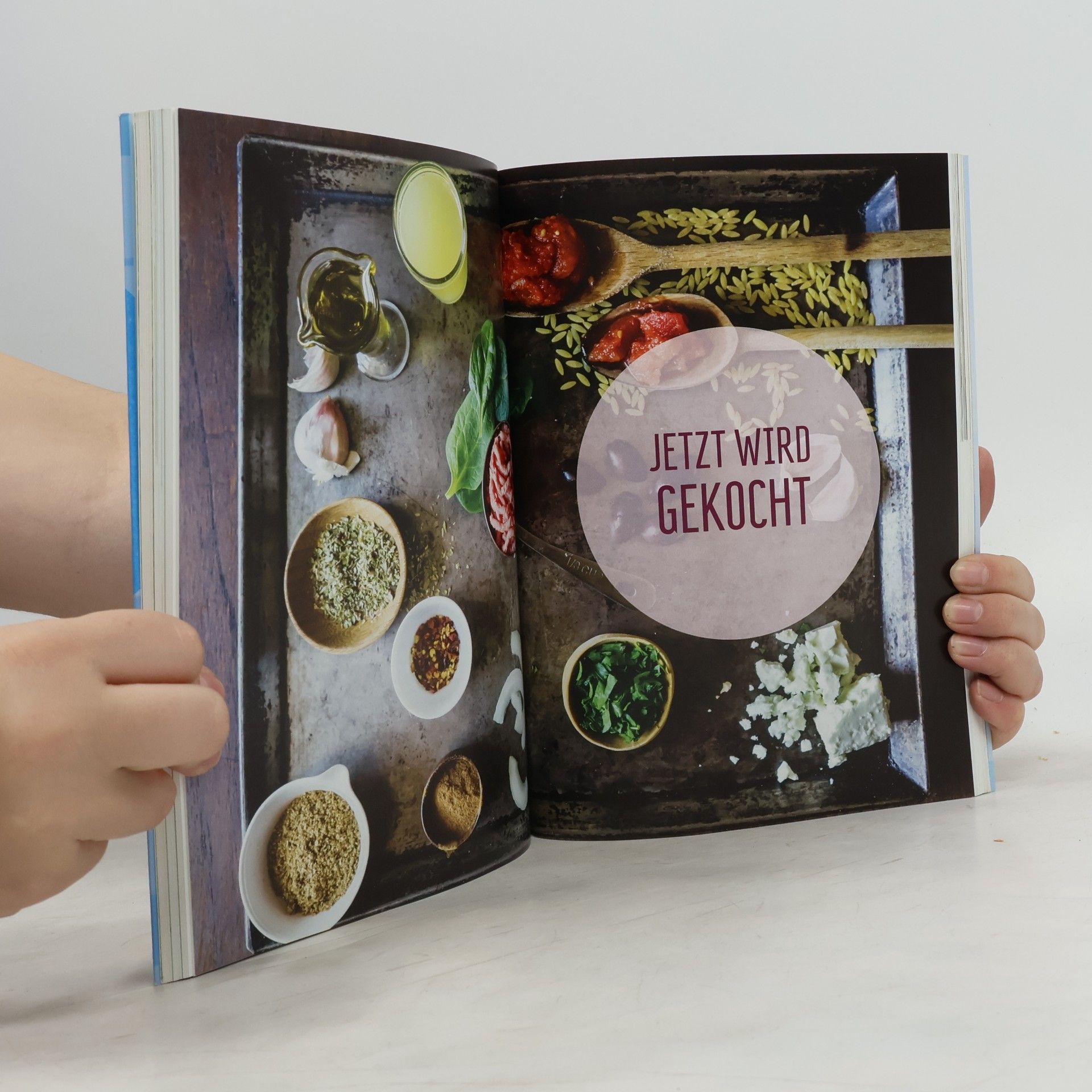 Detlef Pape Schlank im Schlaf - das Basisbuch