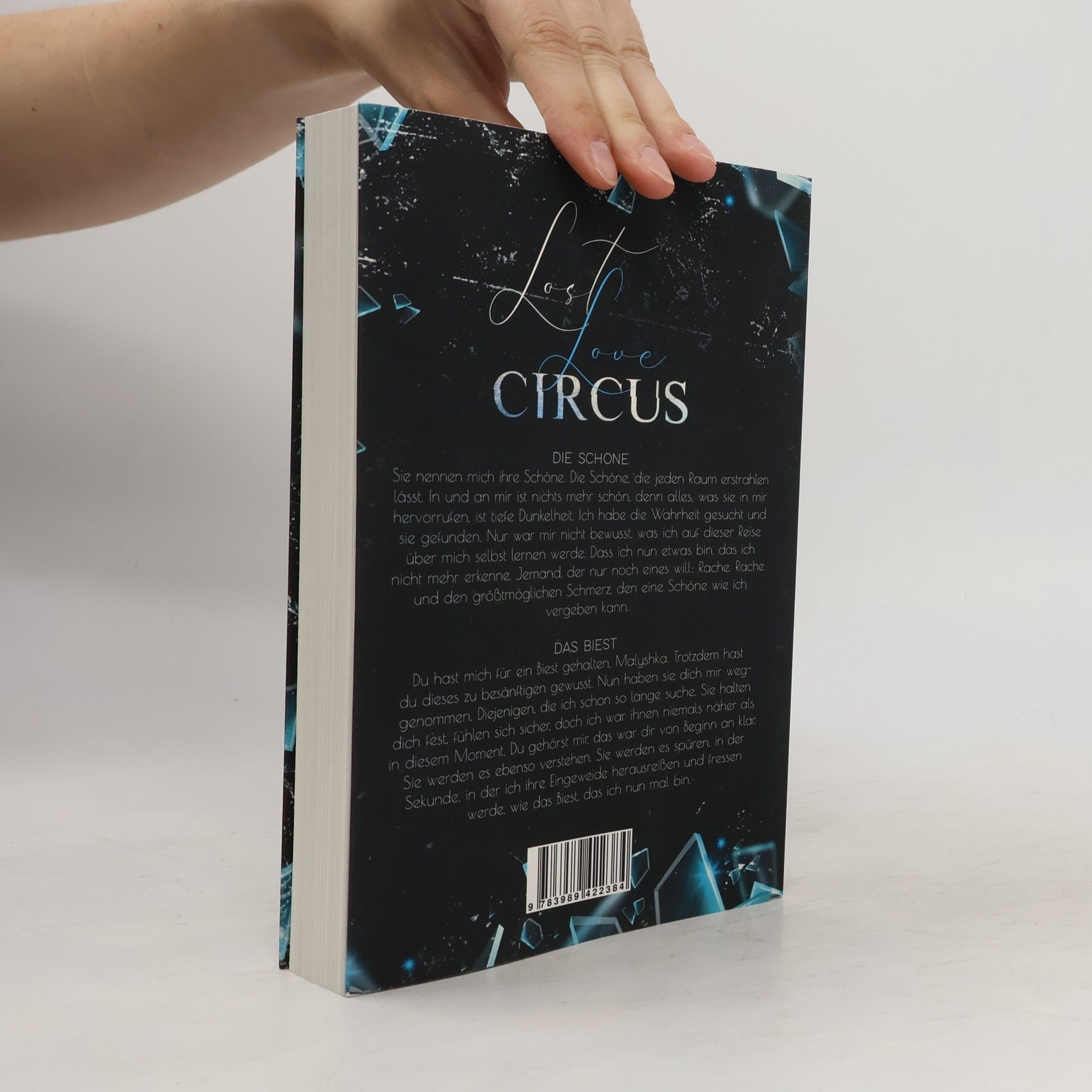 B. B. Stiffers Lost Love Circus