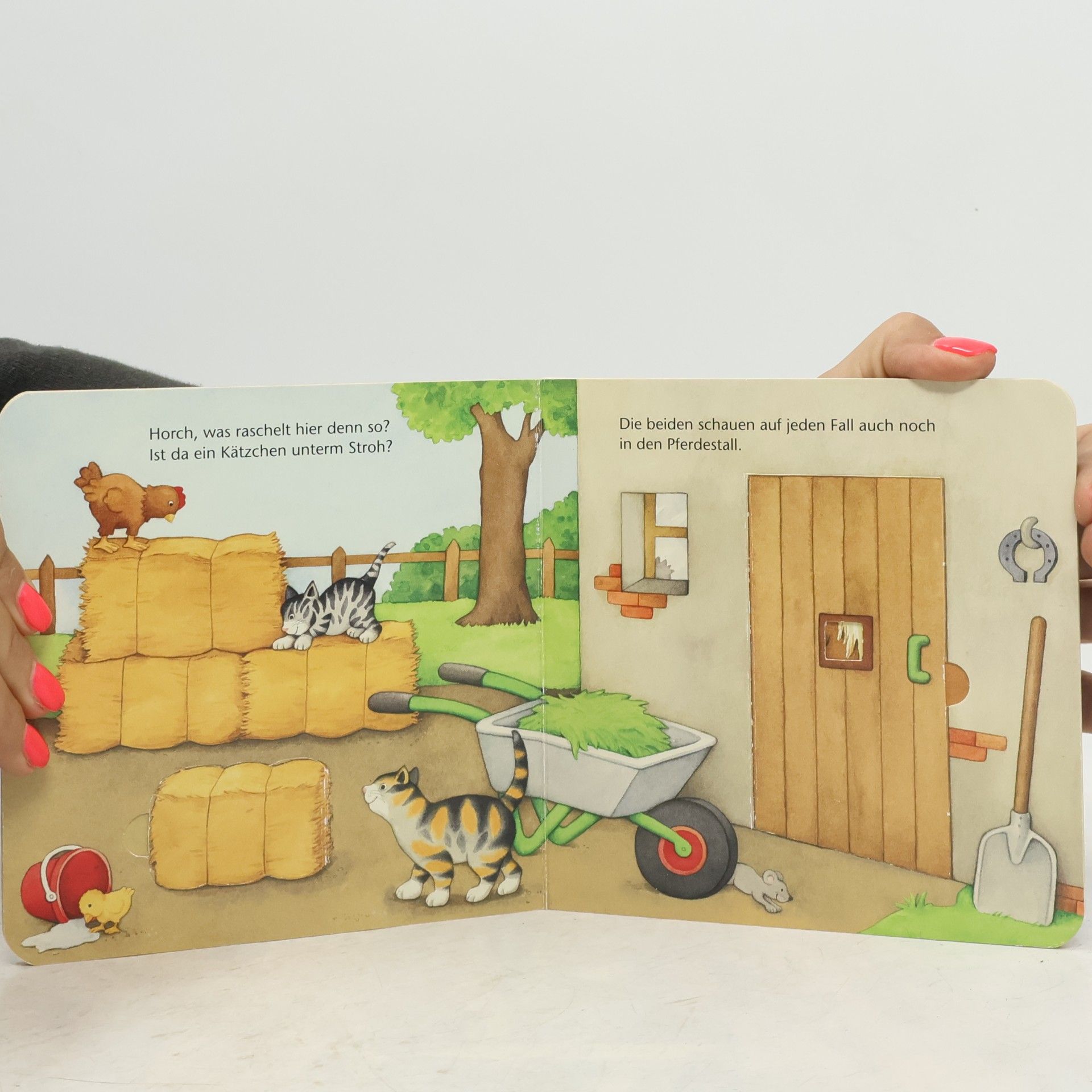 Various authors Wer versteckt sich auf dem Bauernhof