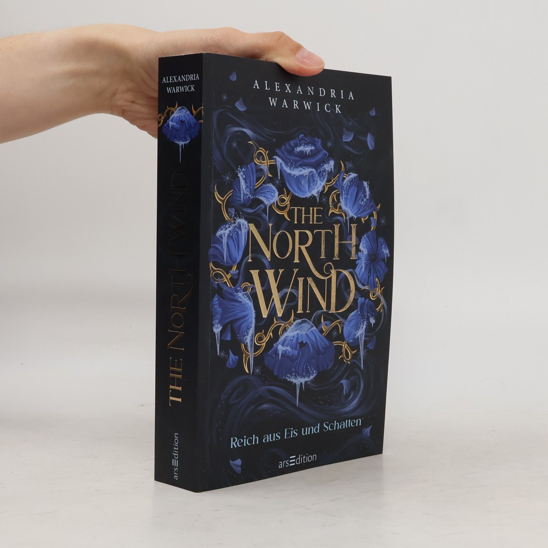 Alexandria Warwick The North Wind - Reich aus Eis und Schatten