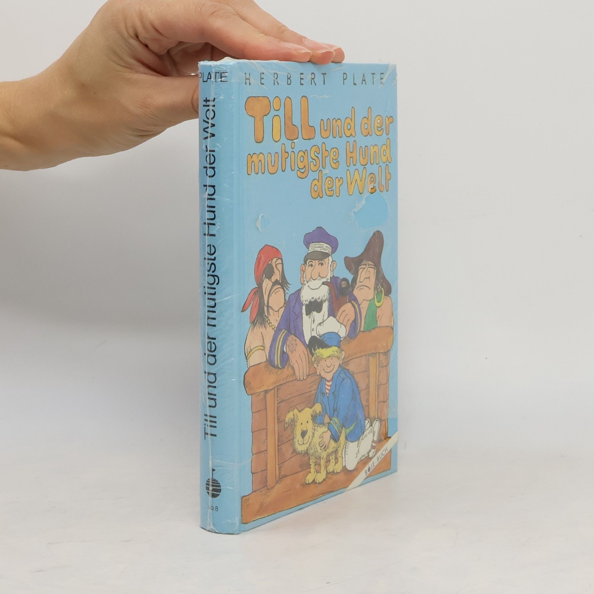 Boje-Buch: Till und der mutigste Hund der Welt