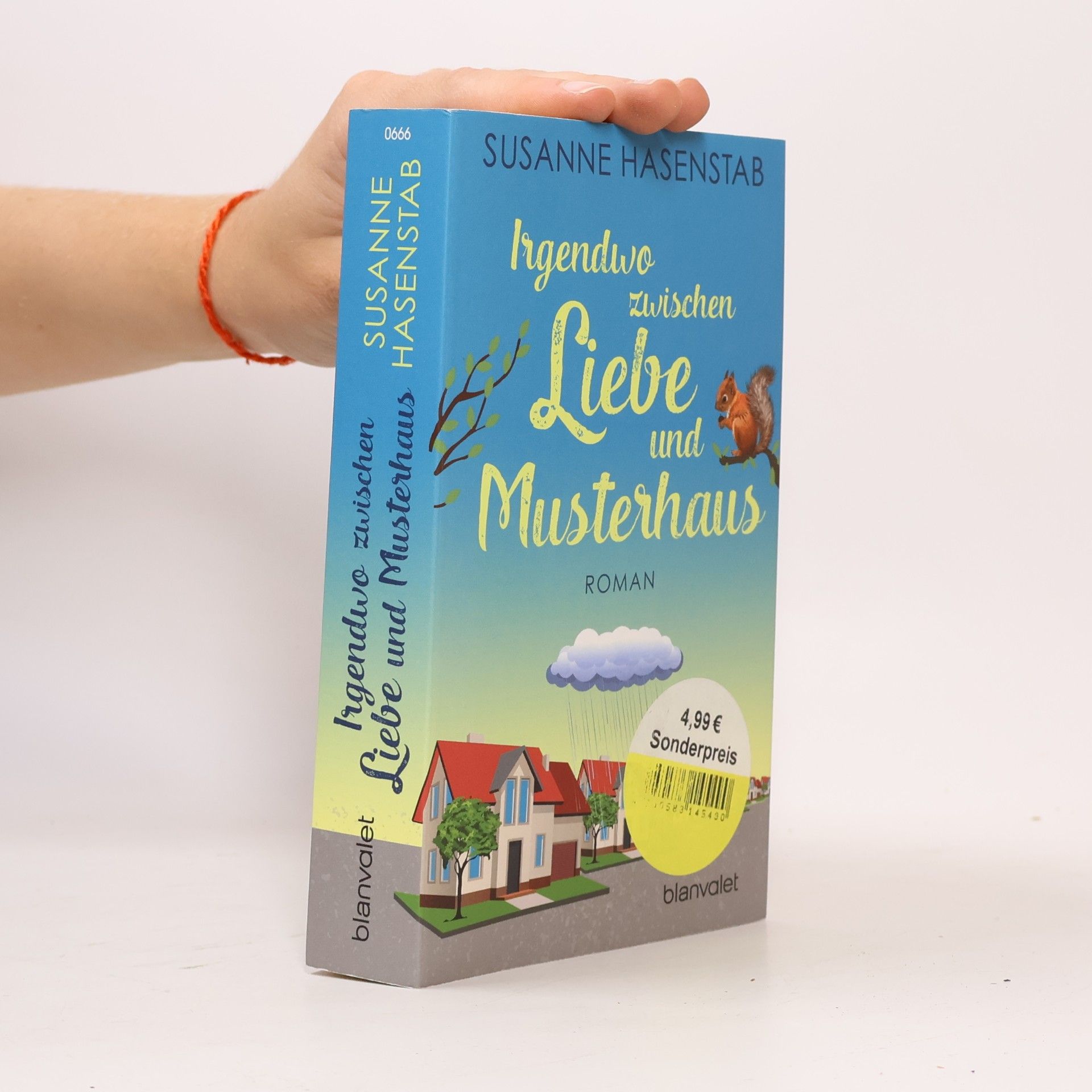 Susanne Hasenstab Irgendwo zwischen Liebe und Musterhaus
