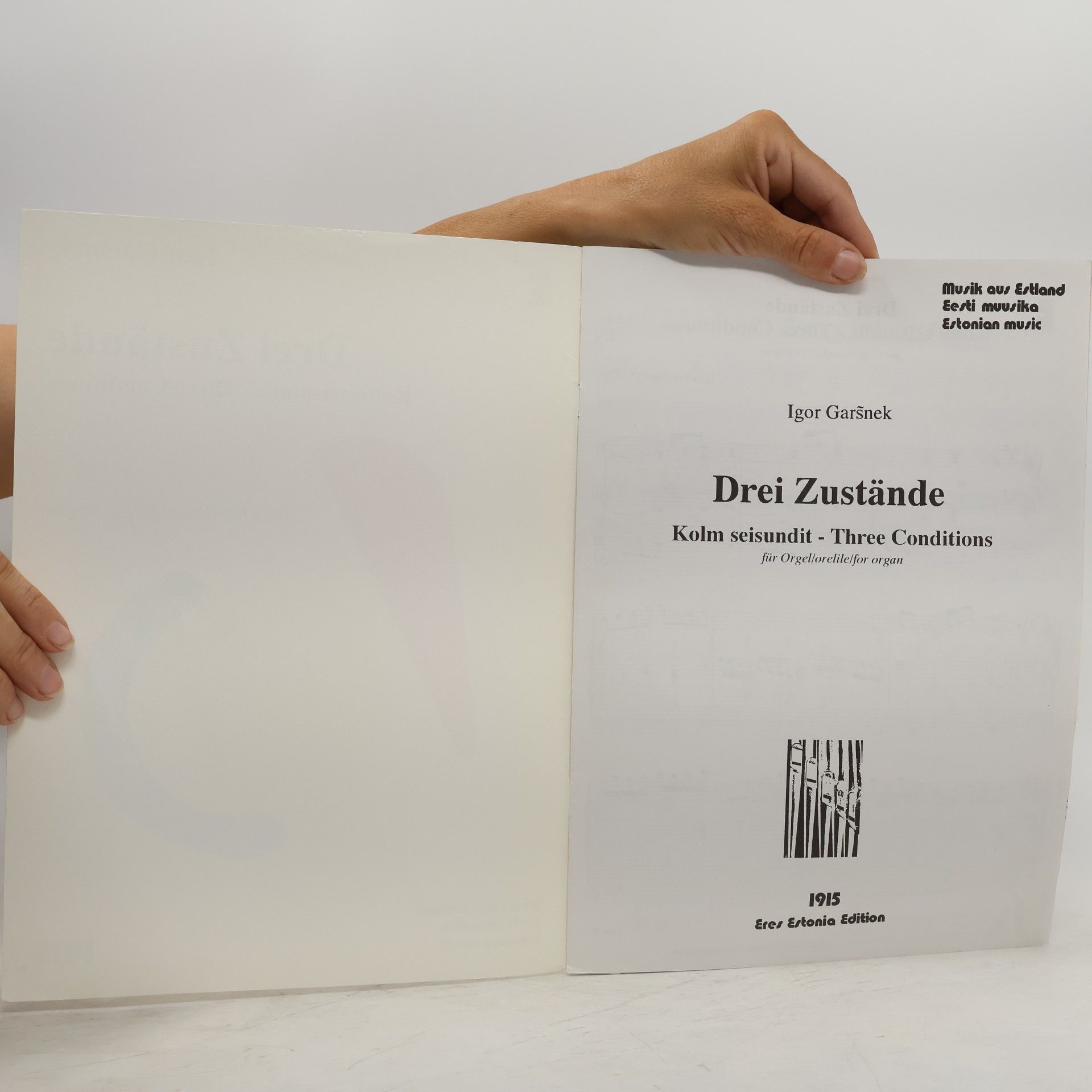 Igor Garsnek Drei Zustände