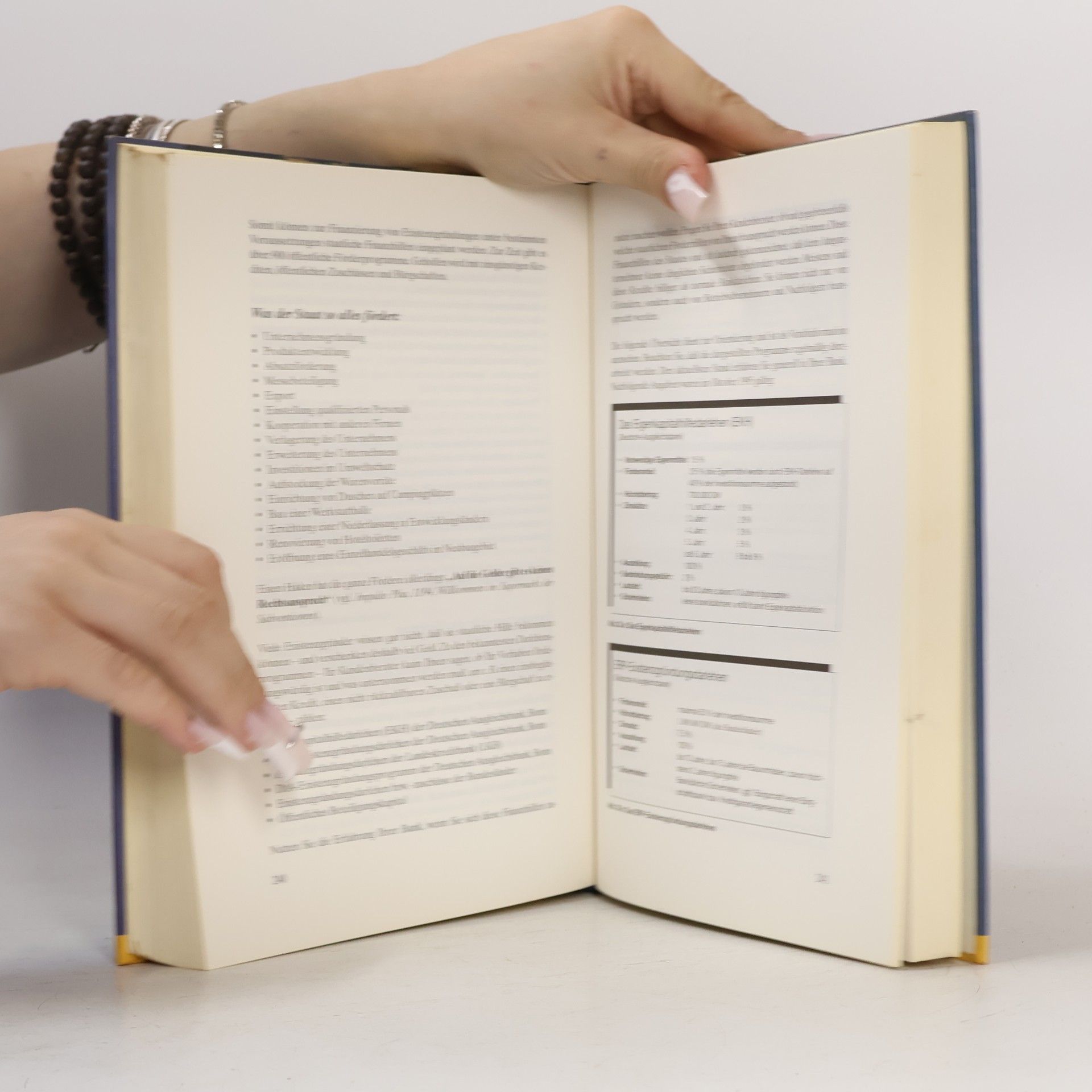 Carsten Rasner Das Existenzgründer-Buch. Von der Geschäftsidee zum sicheren Geschäftserfolg - Mit der Existenzgründer-Software