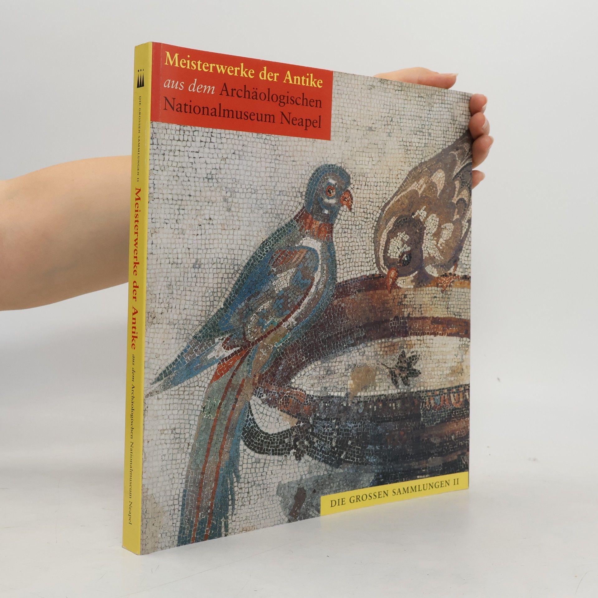 Autorenkollektiv Meisterwerke der Antike aus dem Archäologischen Nationalmuseum Neapel