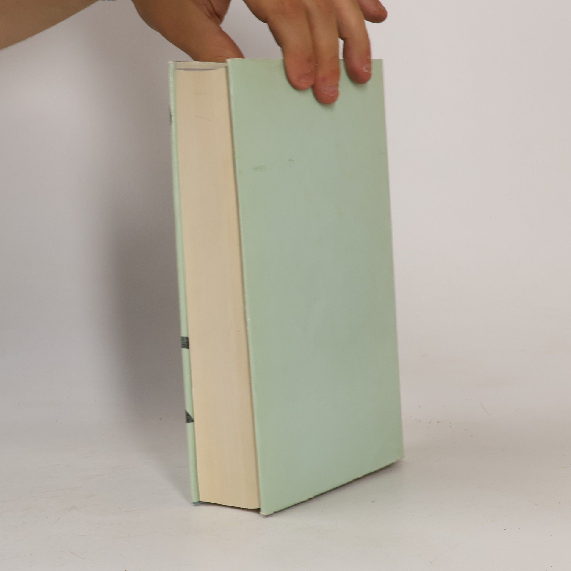 Frank Wedekind Das Frank Wedekind Buch